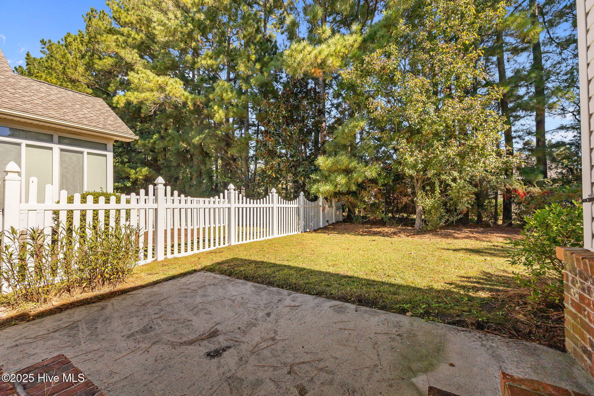 100539449 | Photo 46