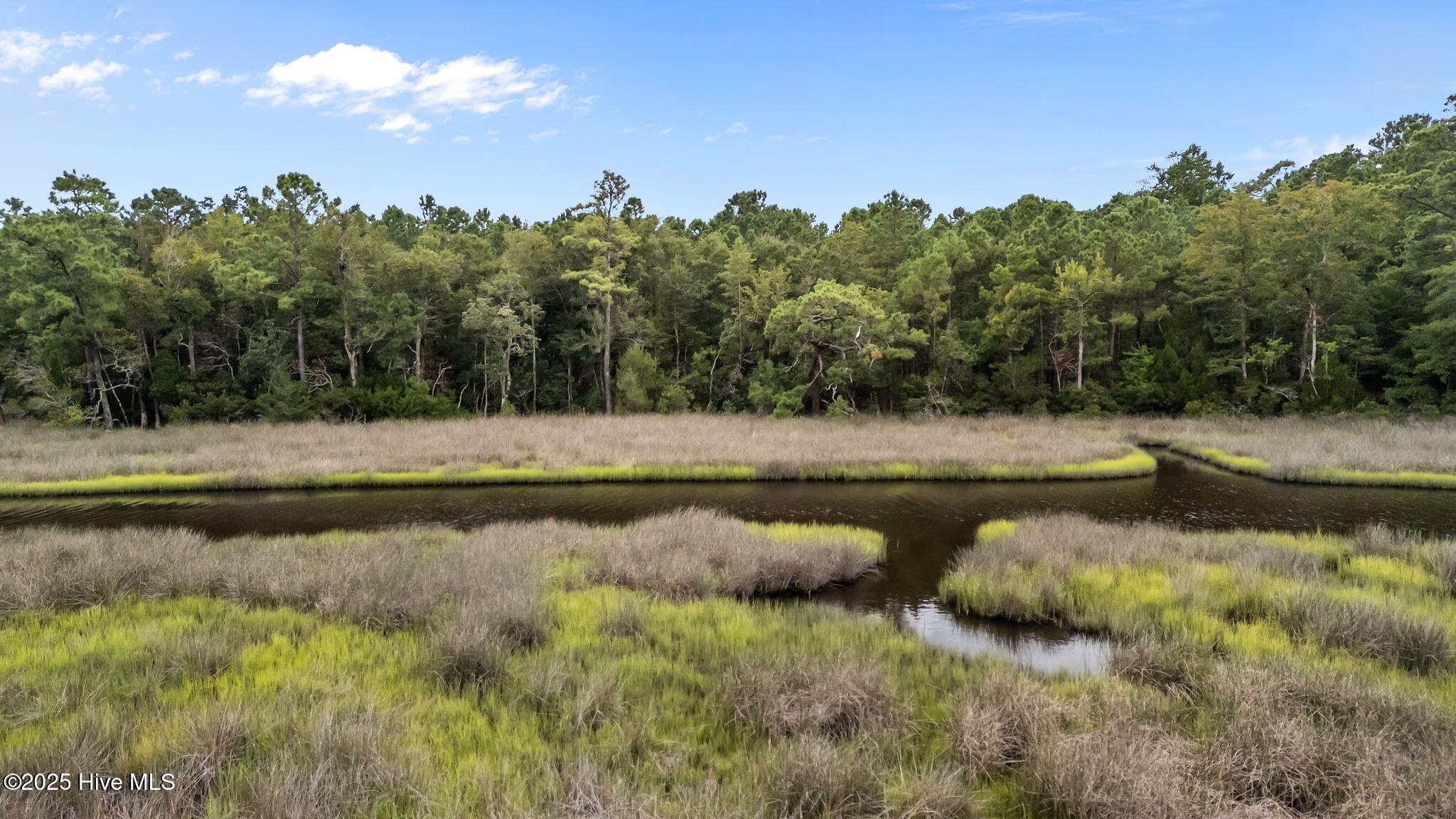 100524817 | Photo 27