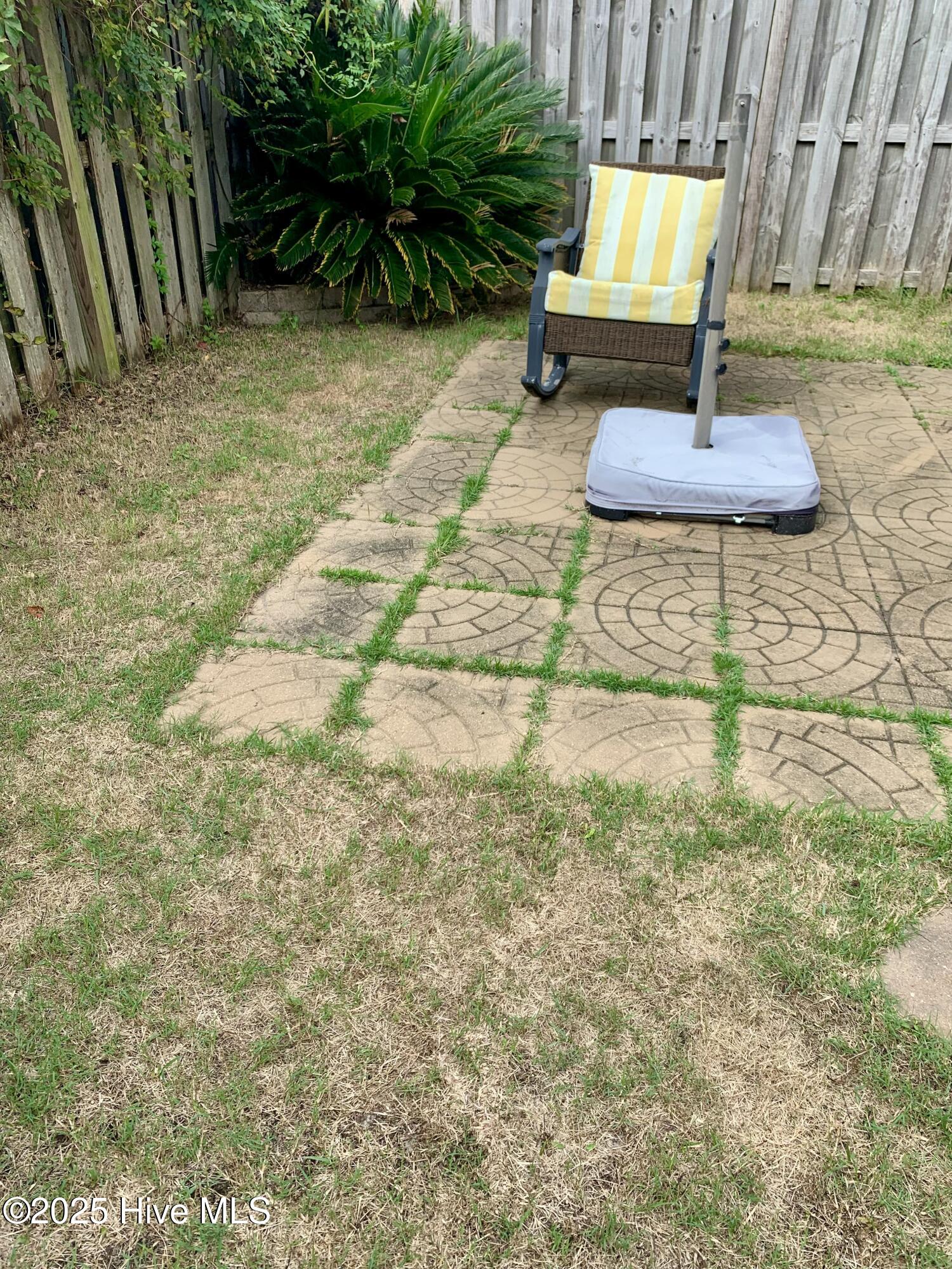 100536015 | Photo 58