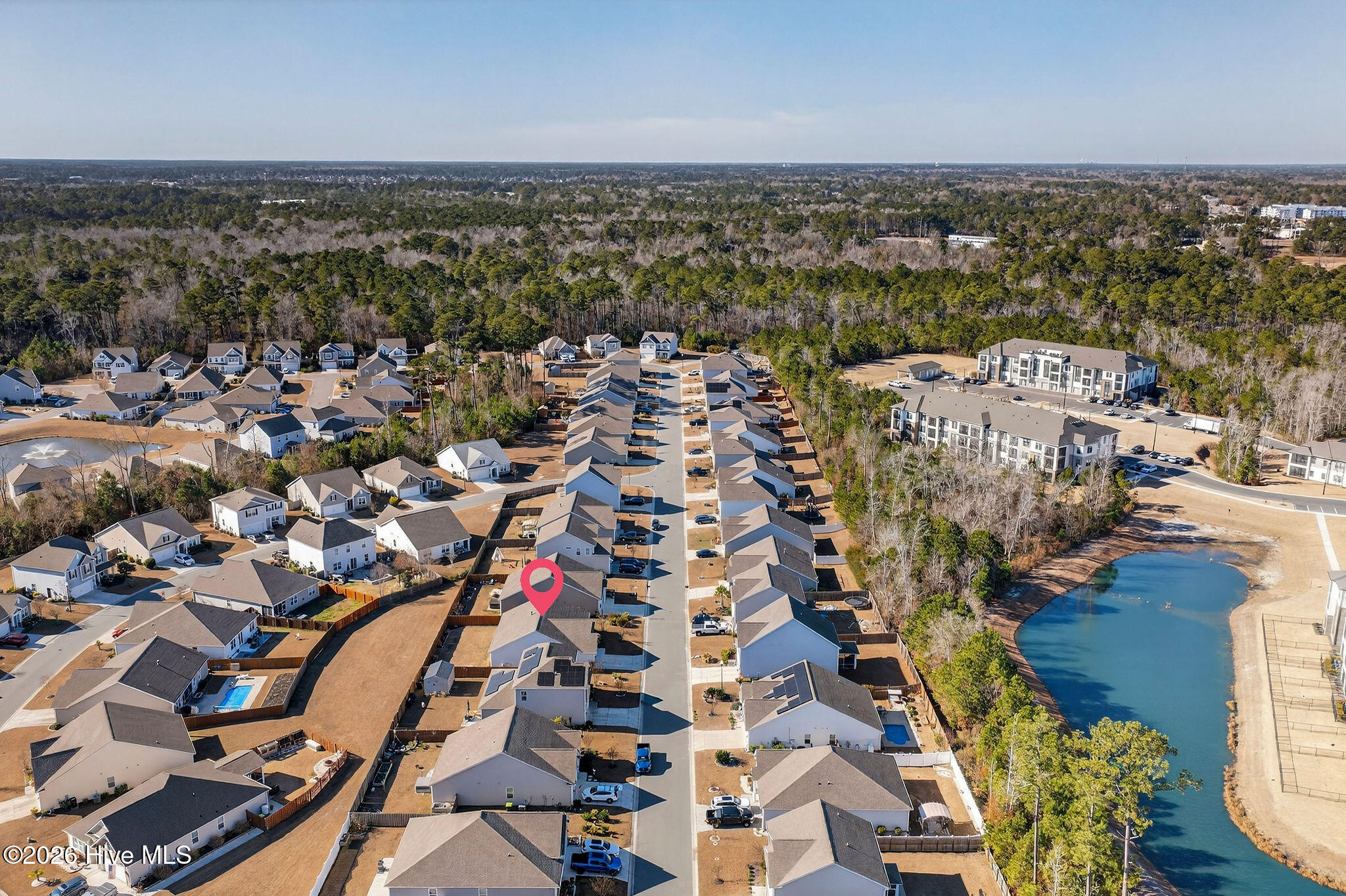 100547233 | Photo 39