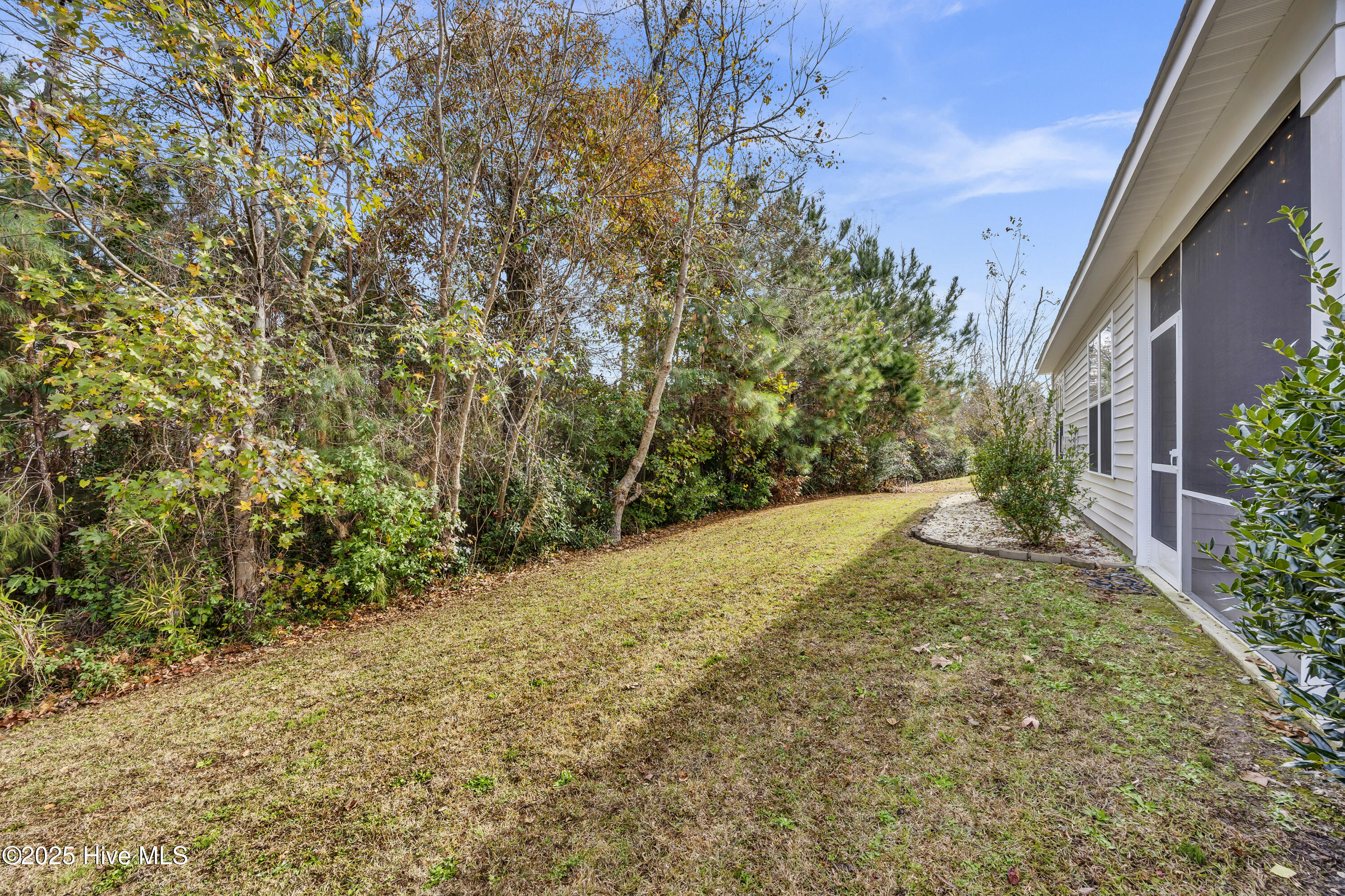 100543759 | Photo 16