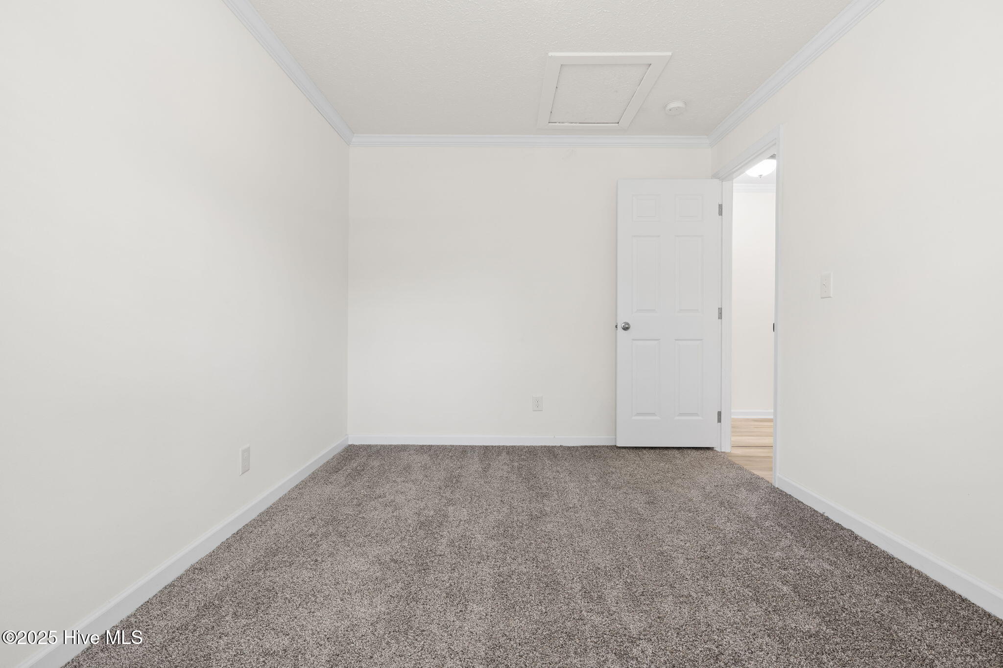 100542585 | Photo 20