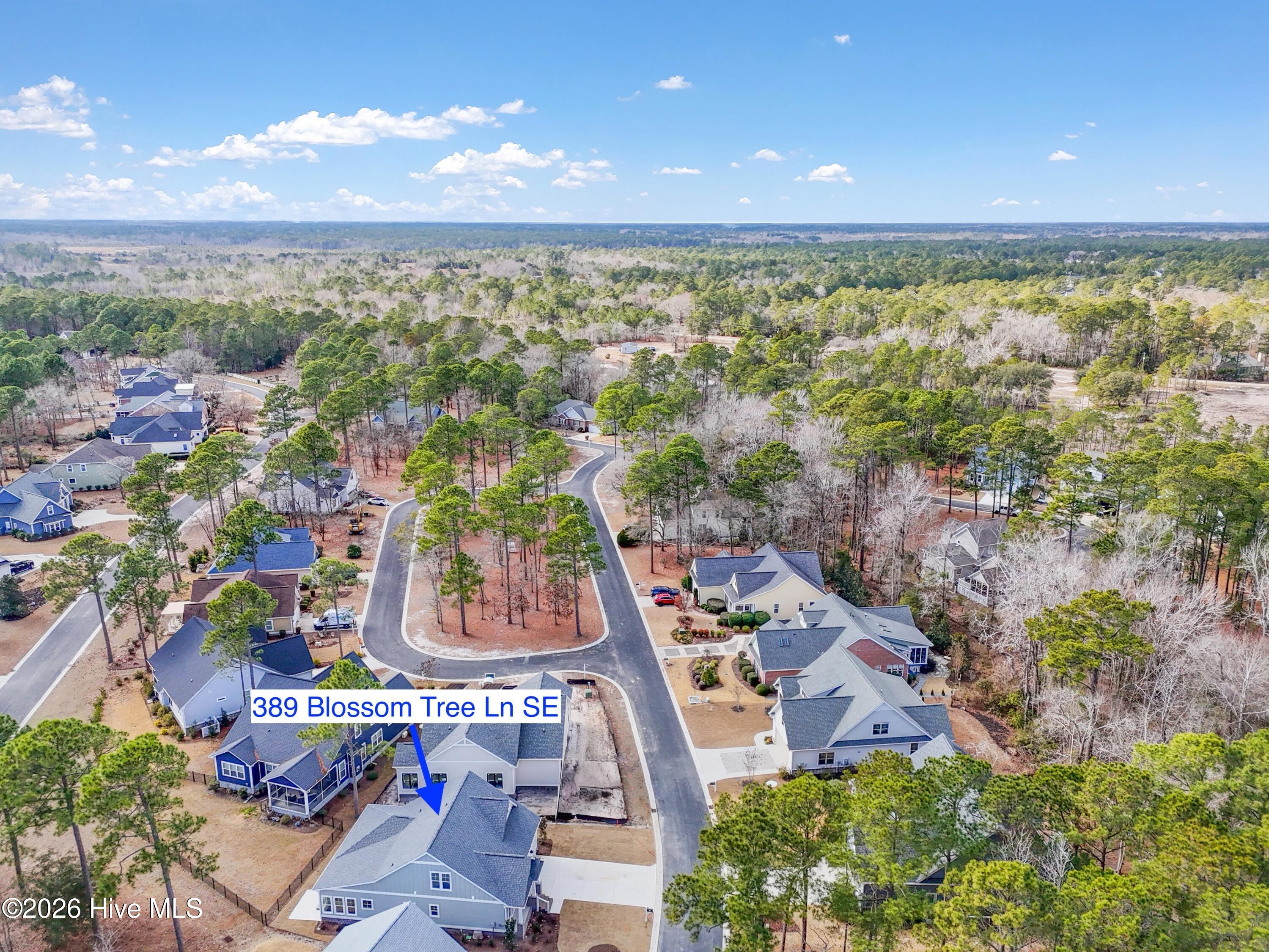 100533287 | Photo 61