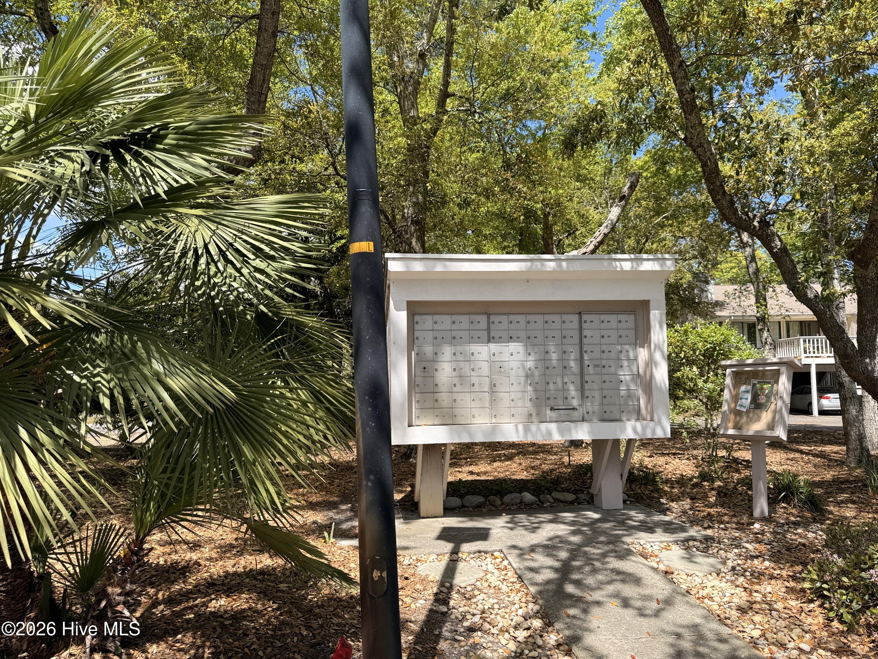 100570413 | Photo 52