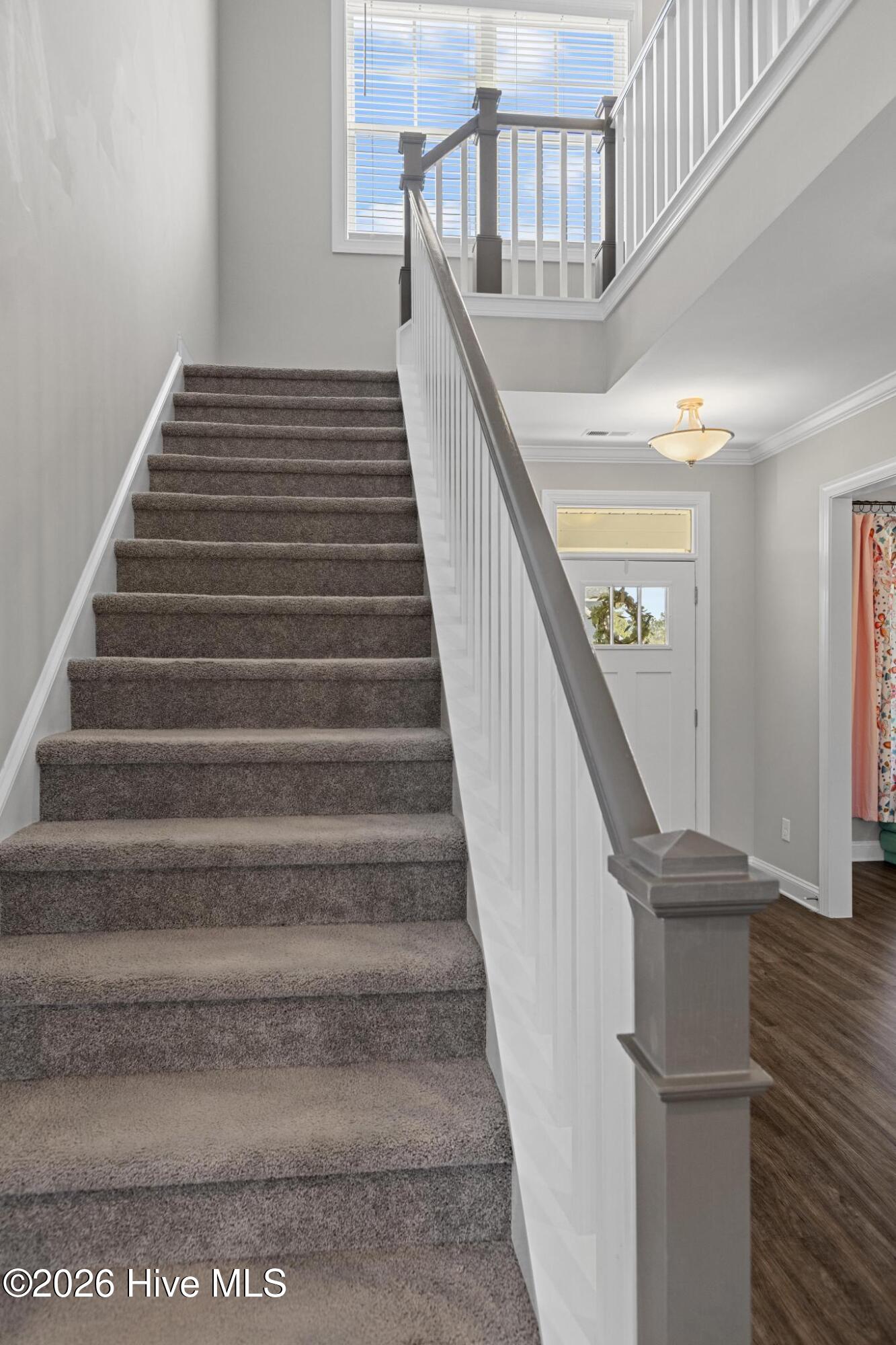 100557095 | Photo 21