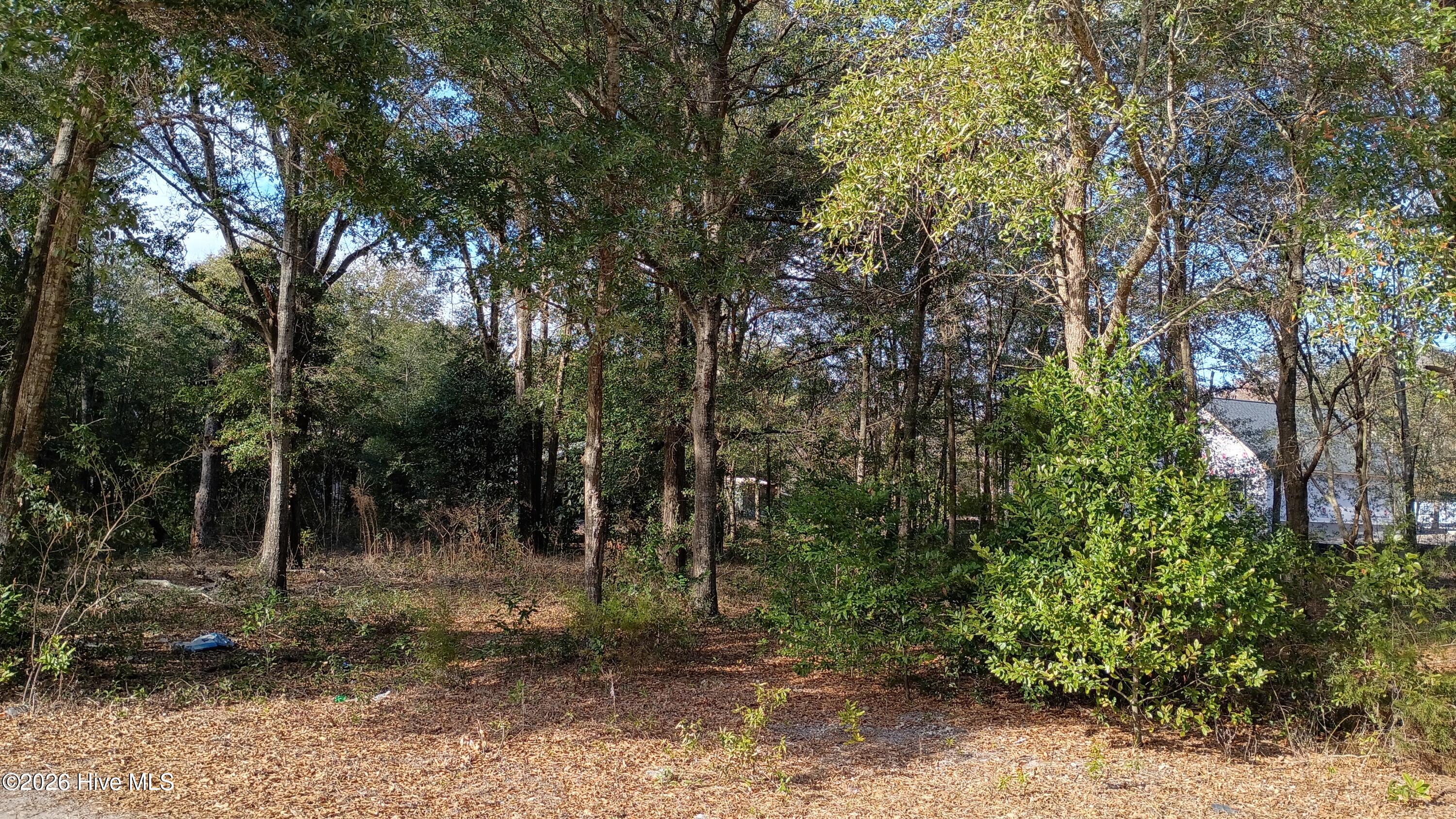 217 Clinton Street, Wilmington, NC, 28401