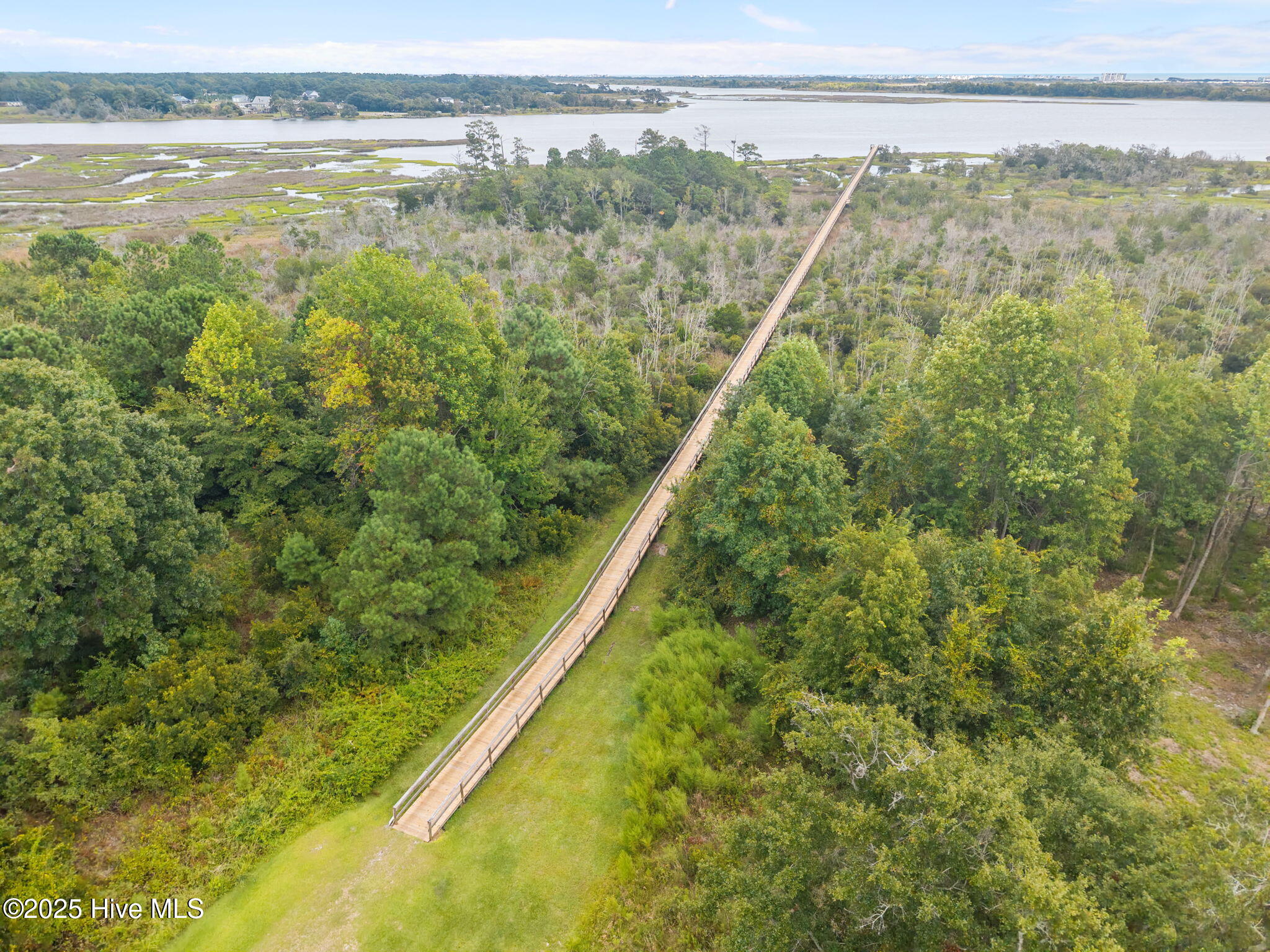 100530646 | Photo 61