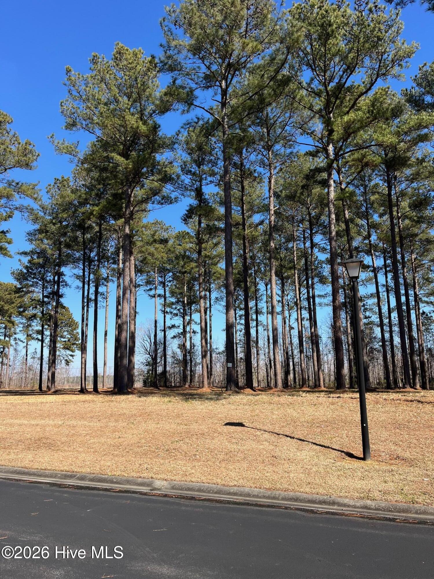 2 122 Bald Head Island Court S,Oriental