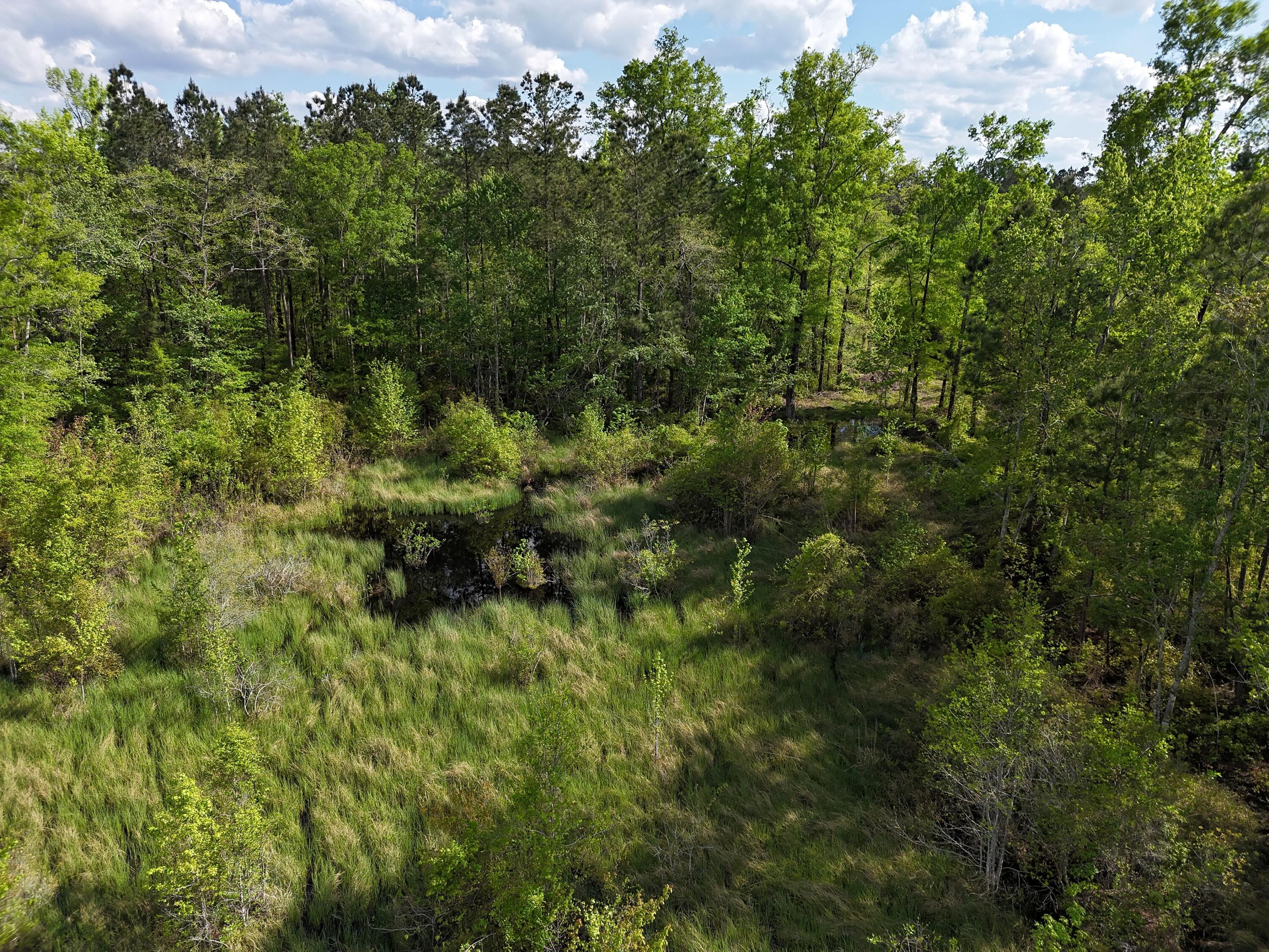 DJI_20250410043729_0016_D