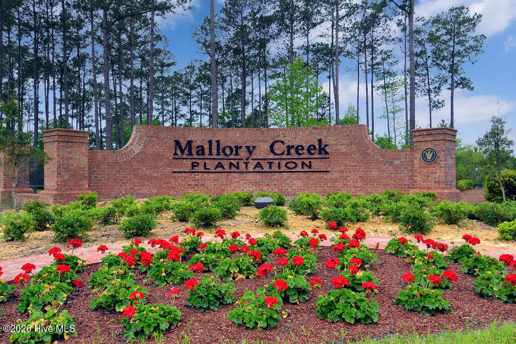 100558265 | Photo 64