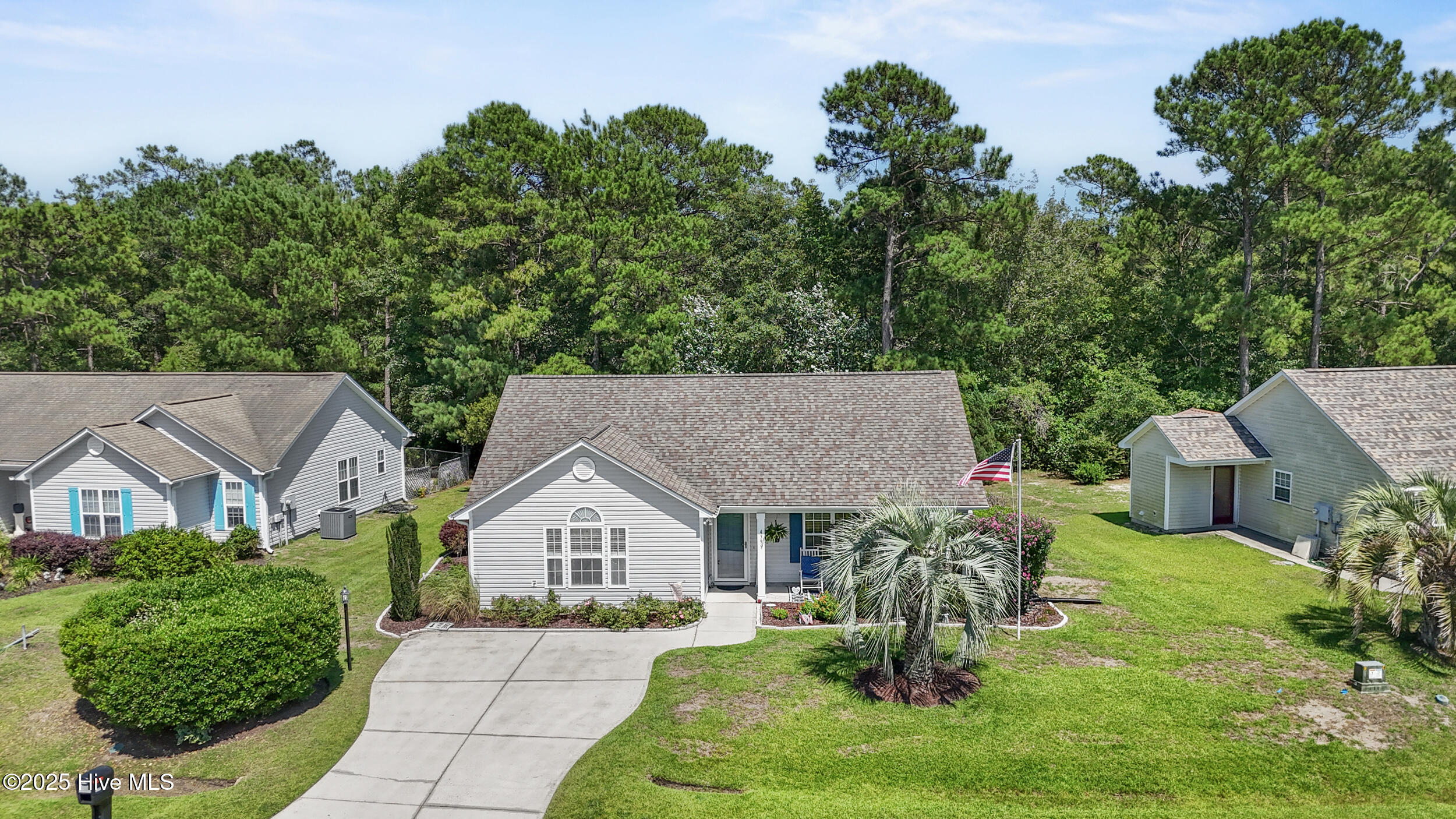 100559196 | Photo 22