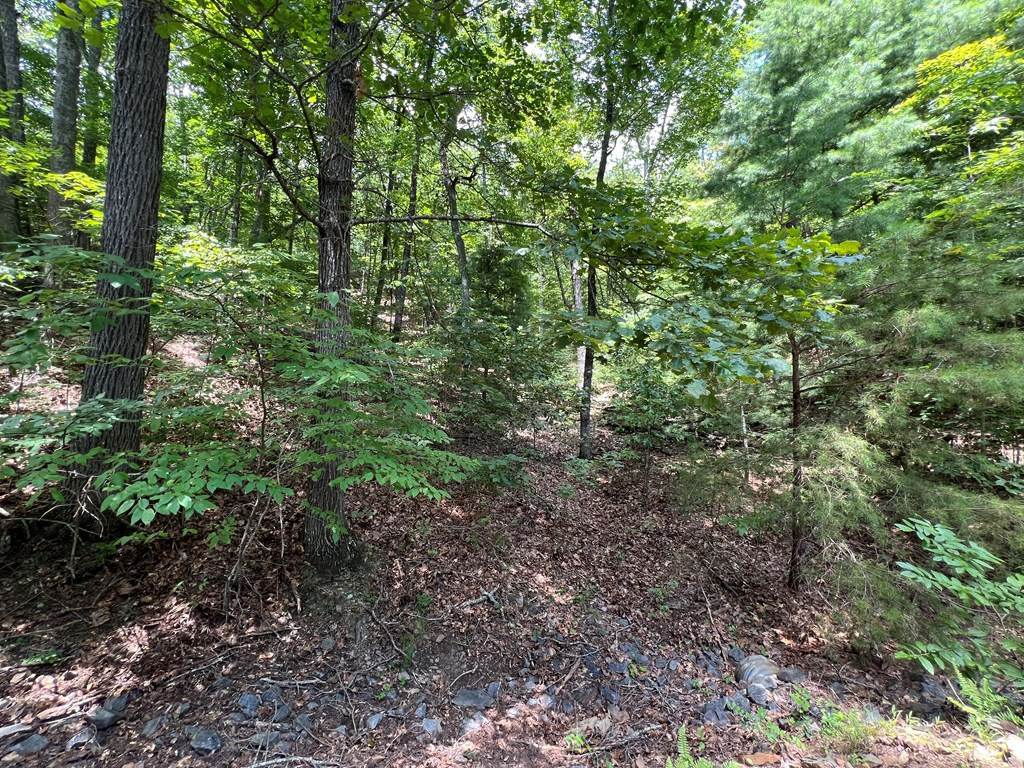 Exterior photo of LOT 32 Mission Ridge, Hayesville, NC 28904. MLS: 98543820