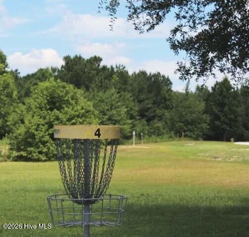 100547895 | Photo 34