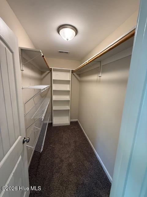 100557118 | Photo 13