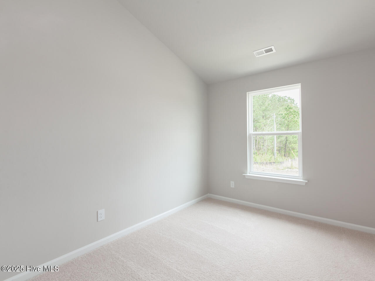 100517966 | Photo 25