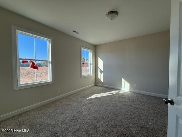 100537825 | Photo 17