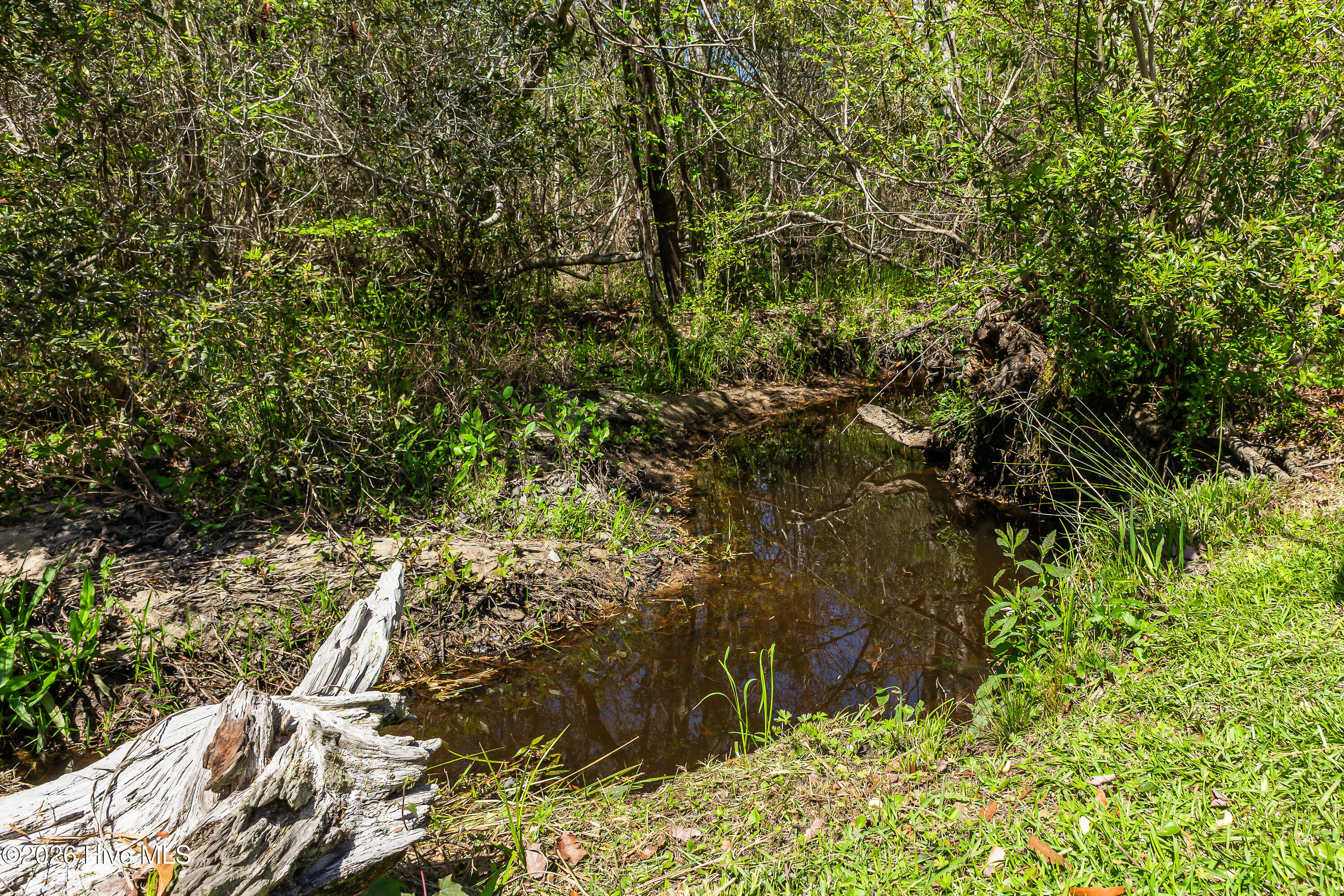 100565861 | Photo 46