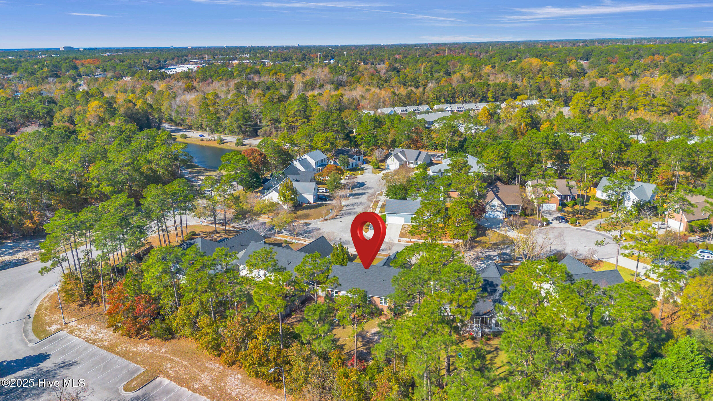 100540871 | Photo 40