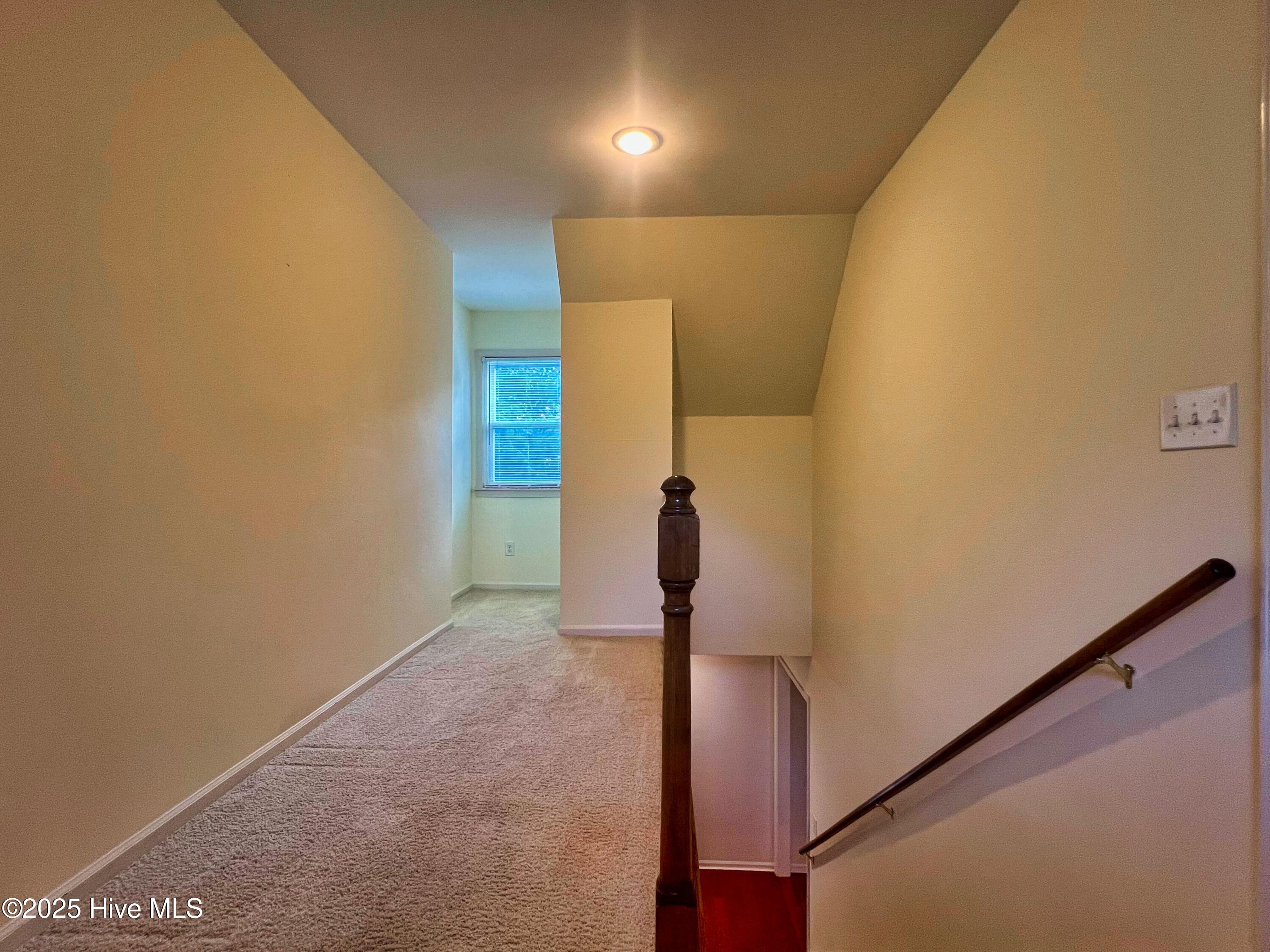 100521049 | Photo 25