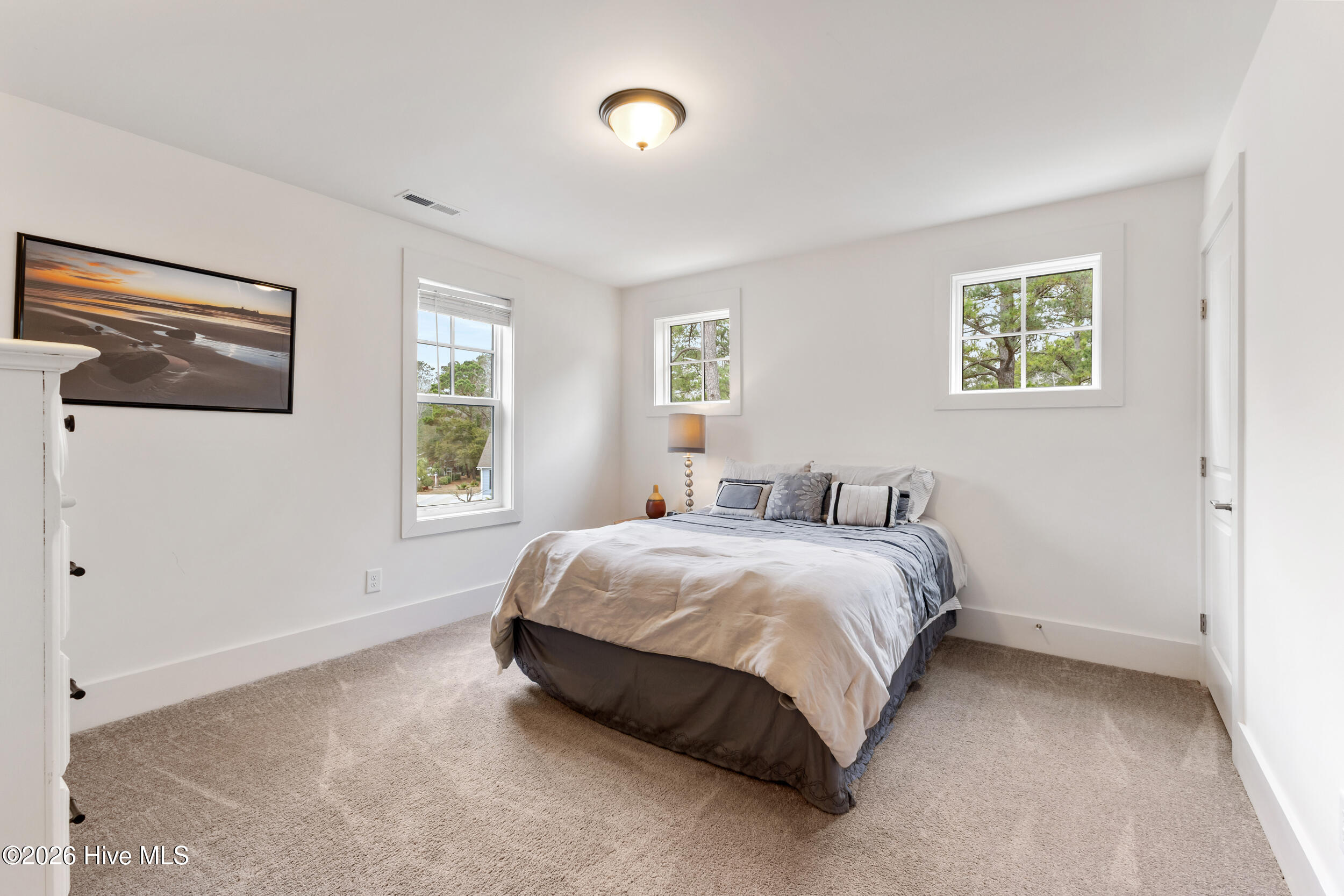 100558084 | Photo 29