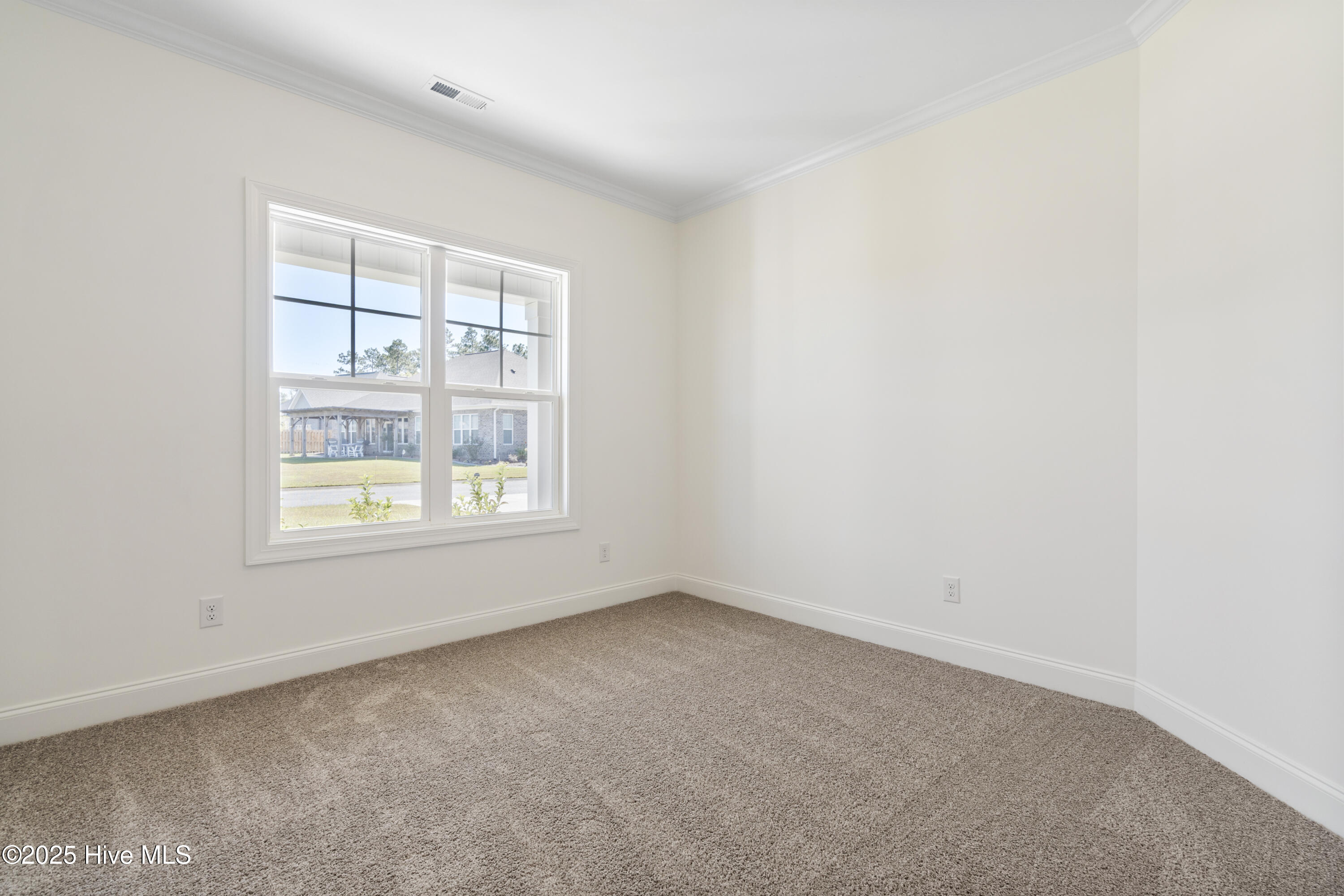 100515288 | Photo 21