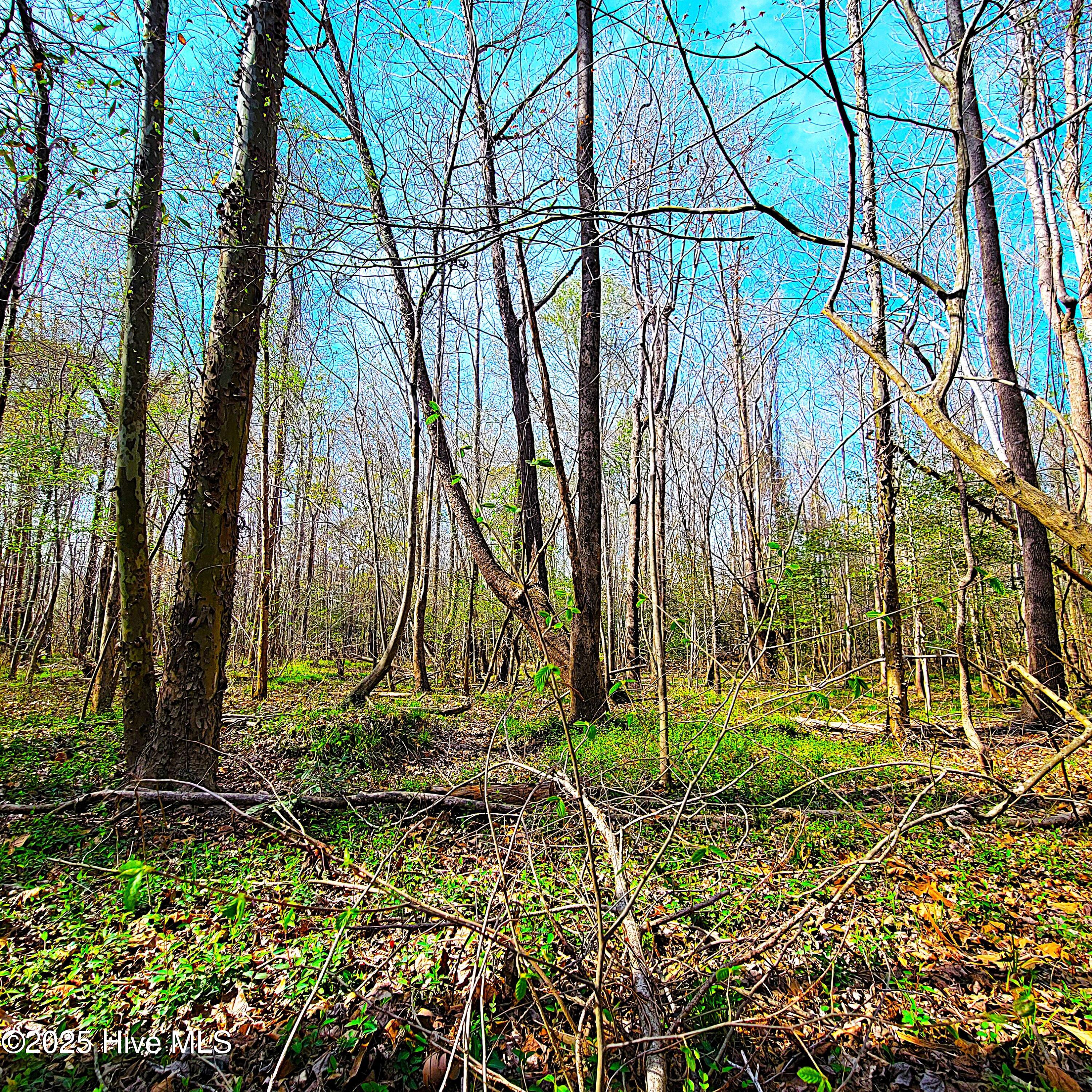 100496184 | Photo 25