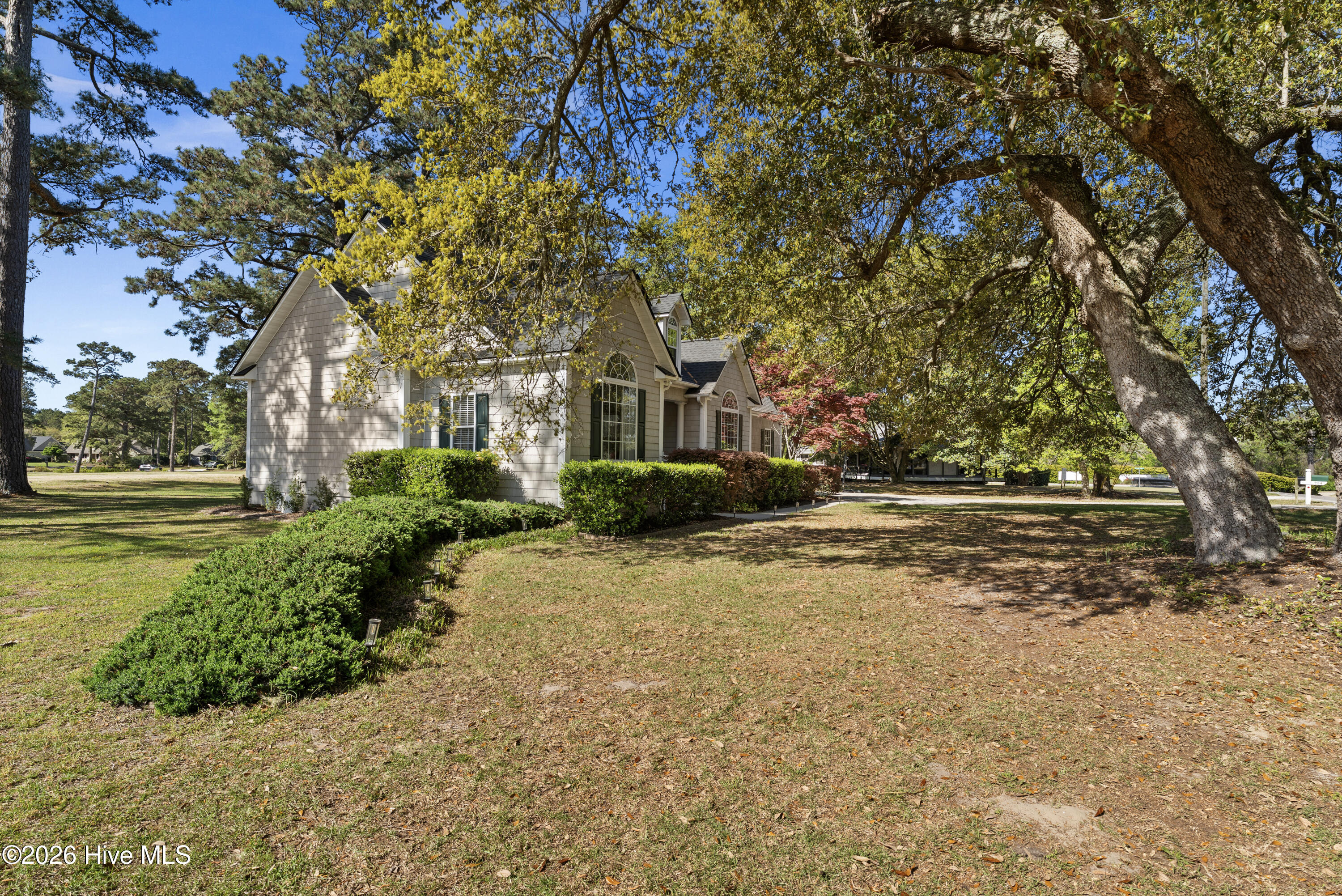 100550440 | Photo 80