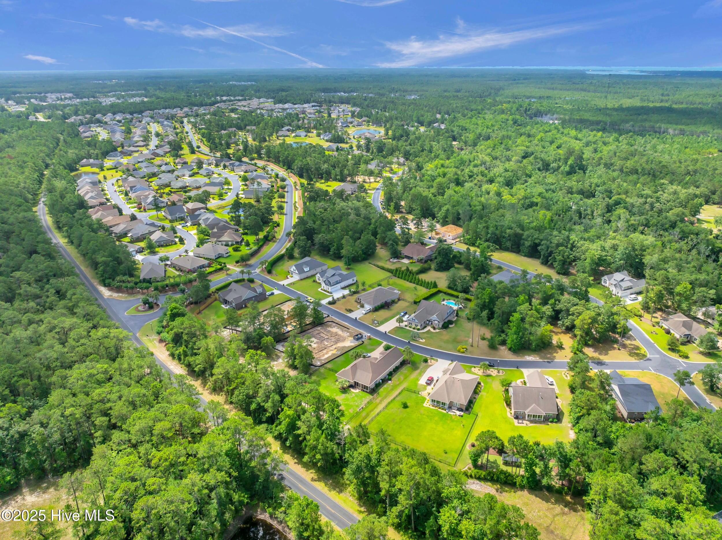 100517542 | Photo 49