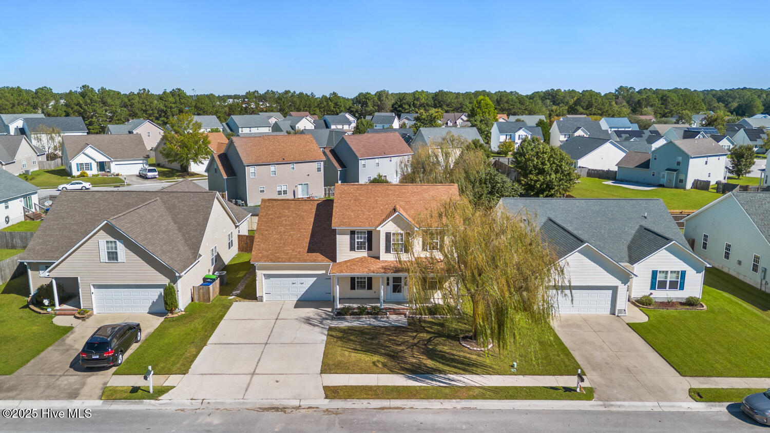 100536928 | Photo 37