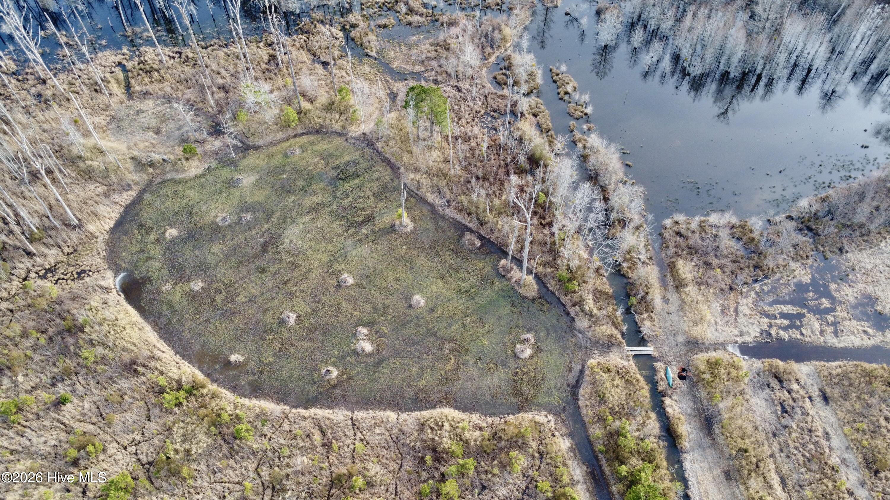 Homes for sale in Windsor, NC | 943 Off 943 Governors Rd Nc 308 Rd, Windsor, NC 27983 | MLS# 100555210