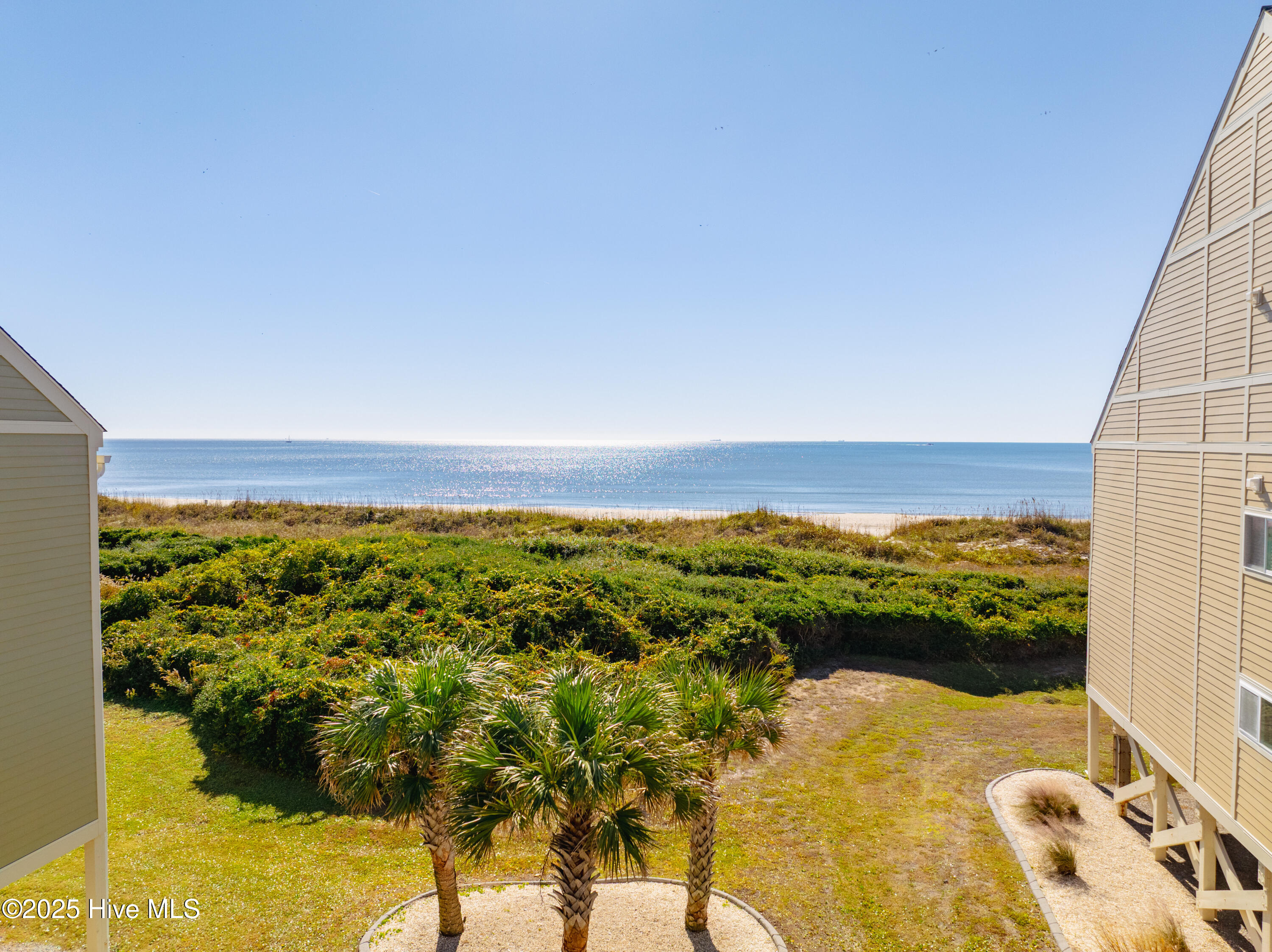 100539847 | Photo 50