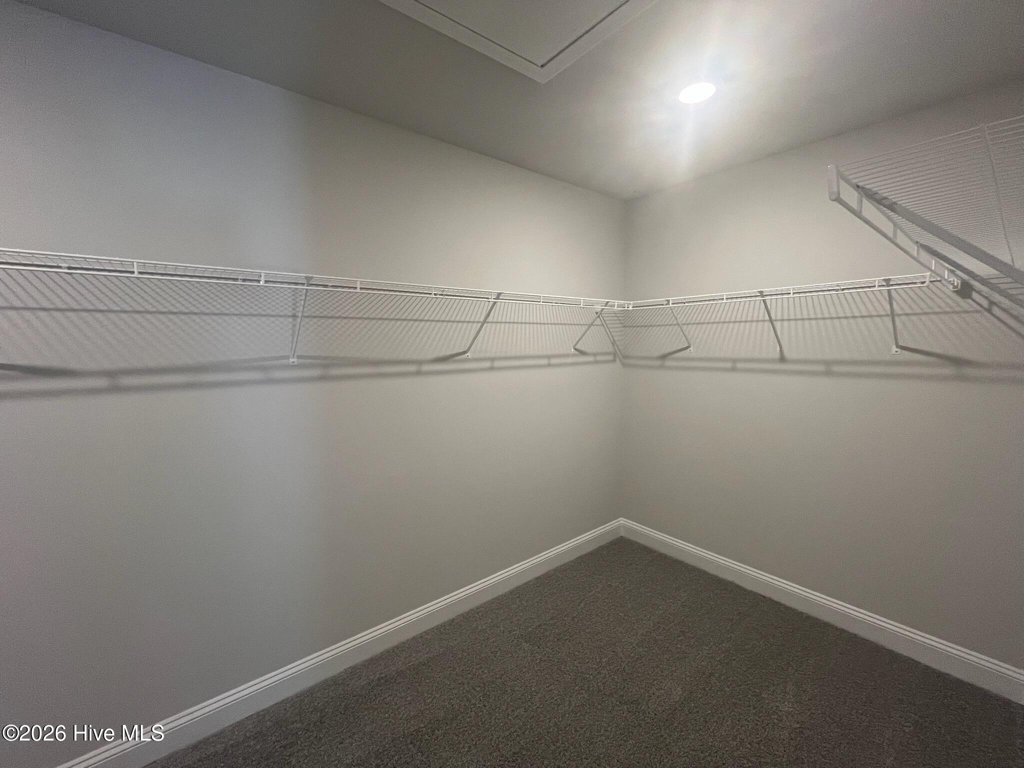 100558864 | Photo 28