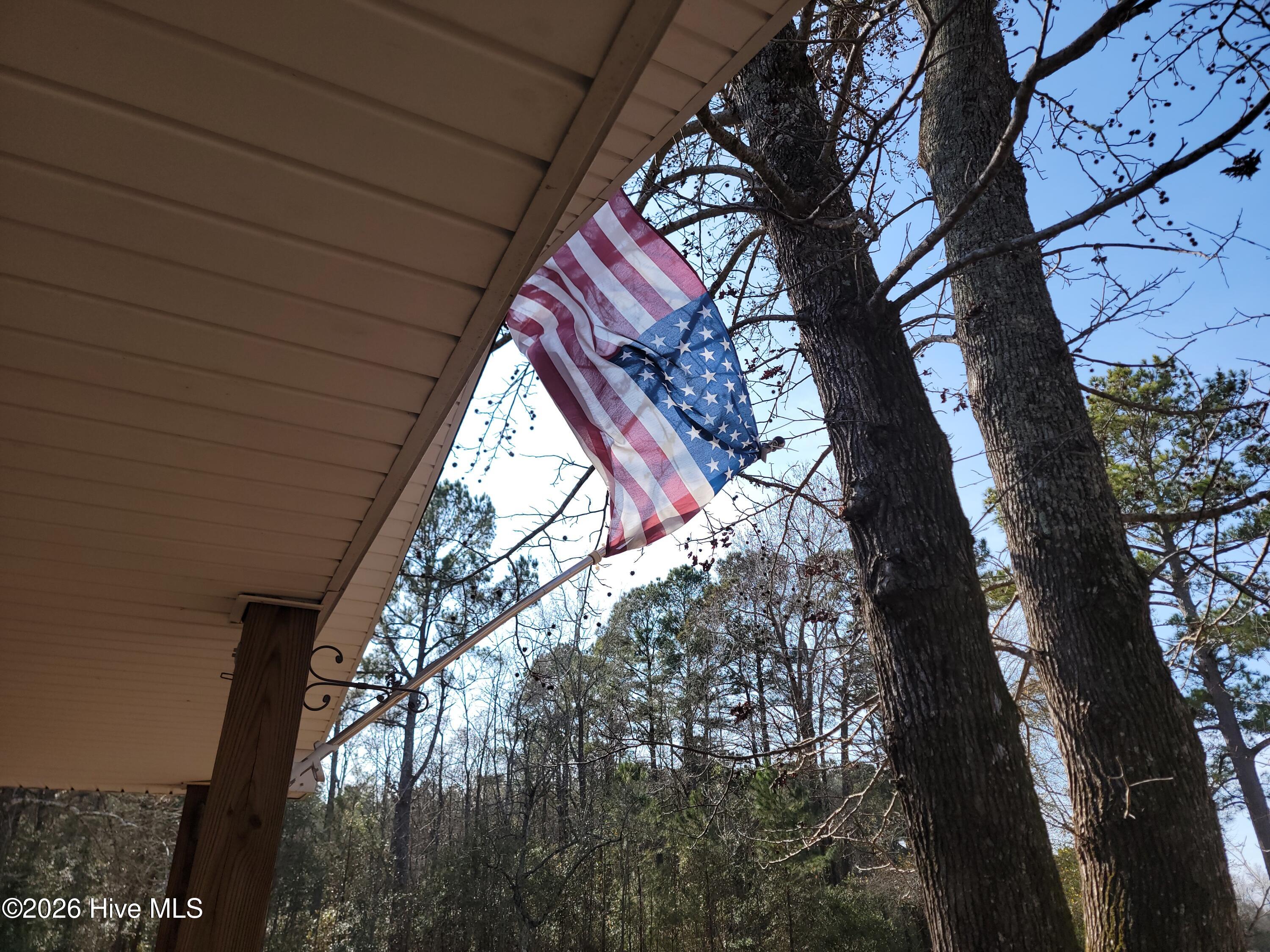 100551127 | Photo 32