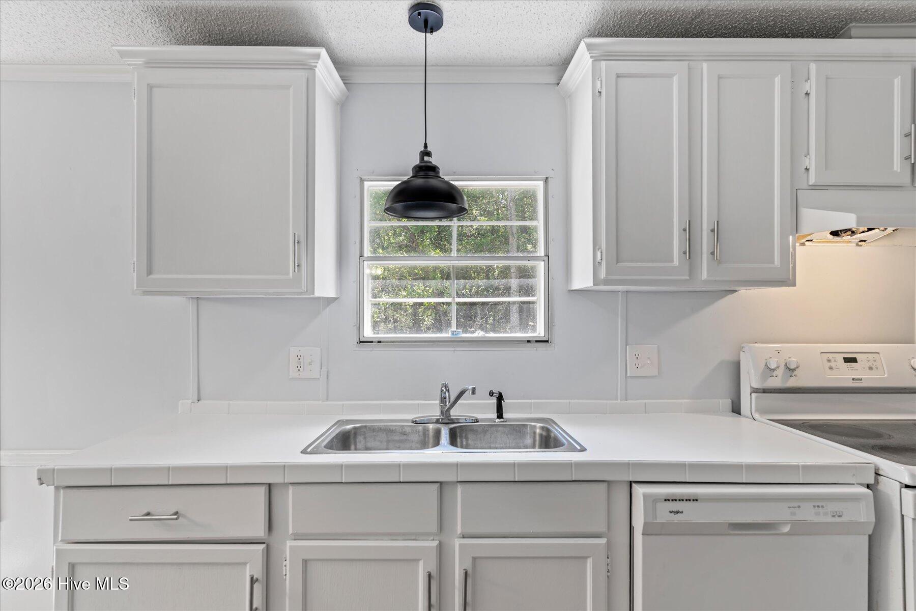 100567568 | Photo 19