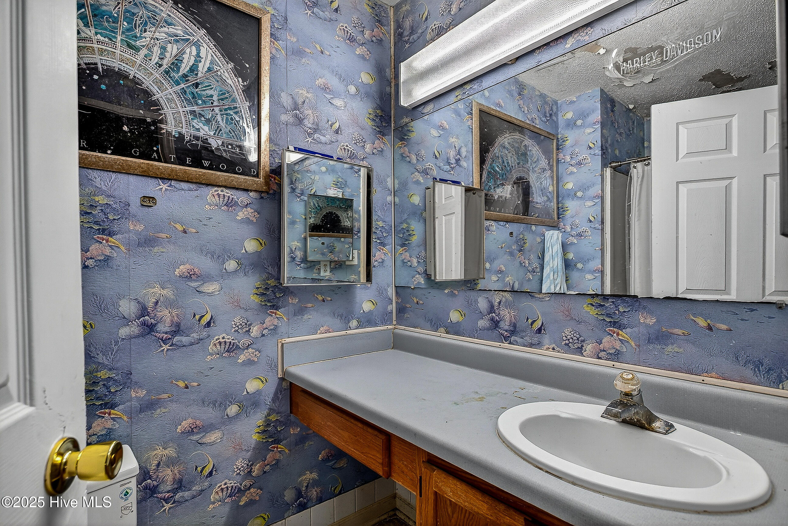 100537461 | Photo 15