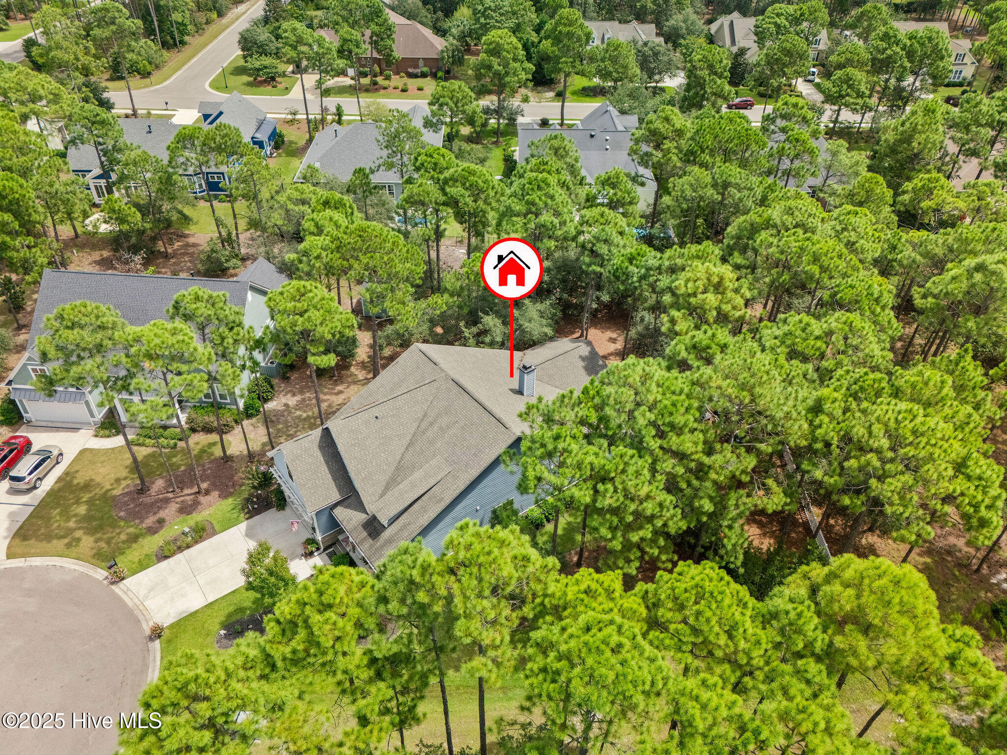 100529341 | Photo 58