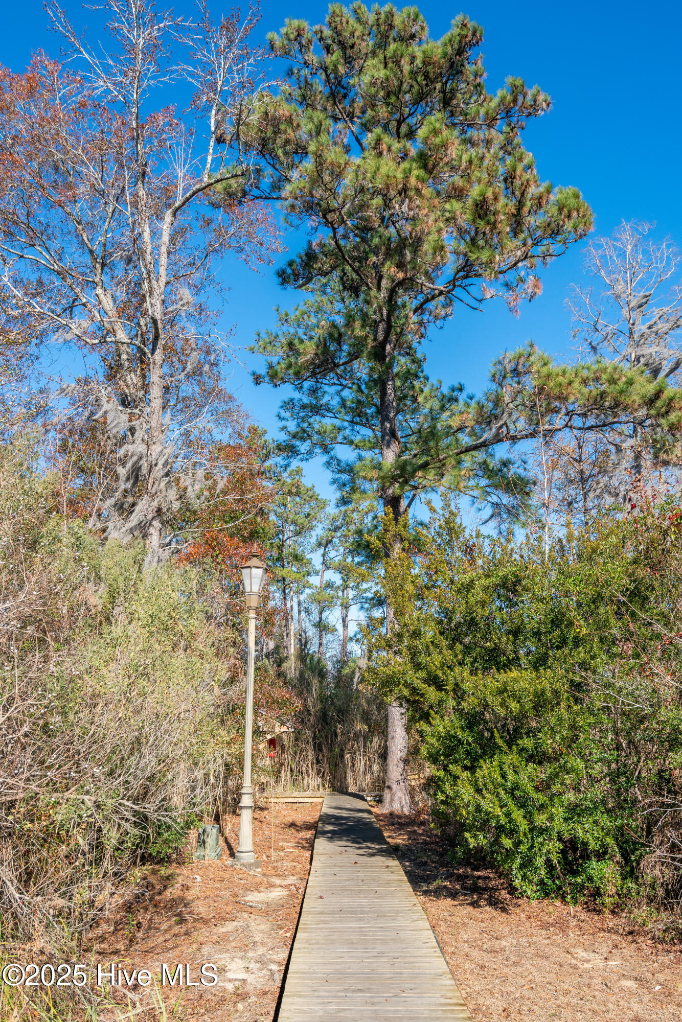 100546678 | Photo 12