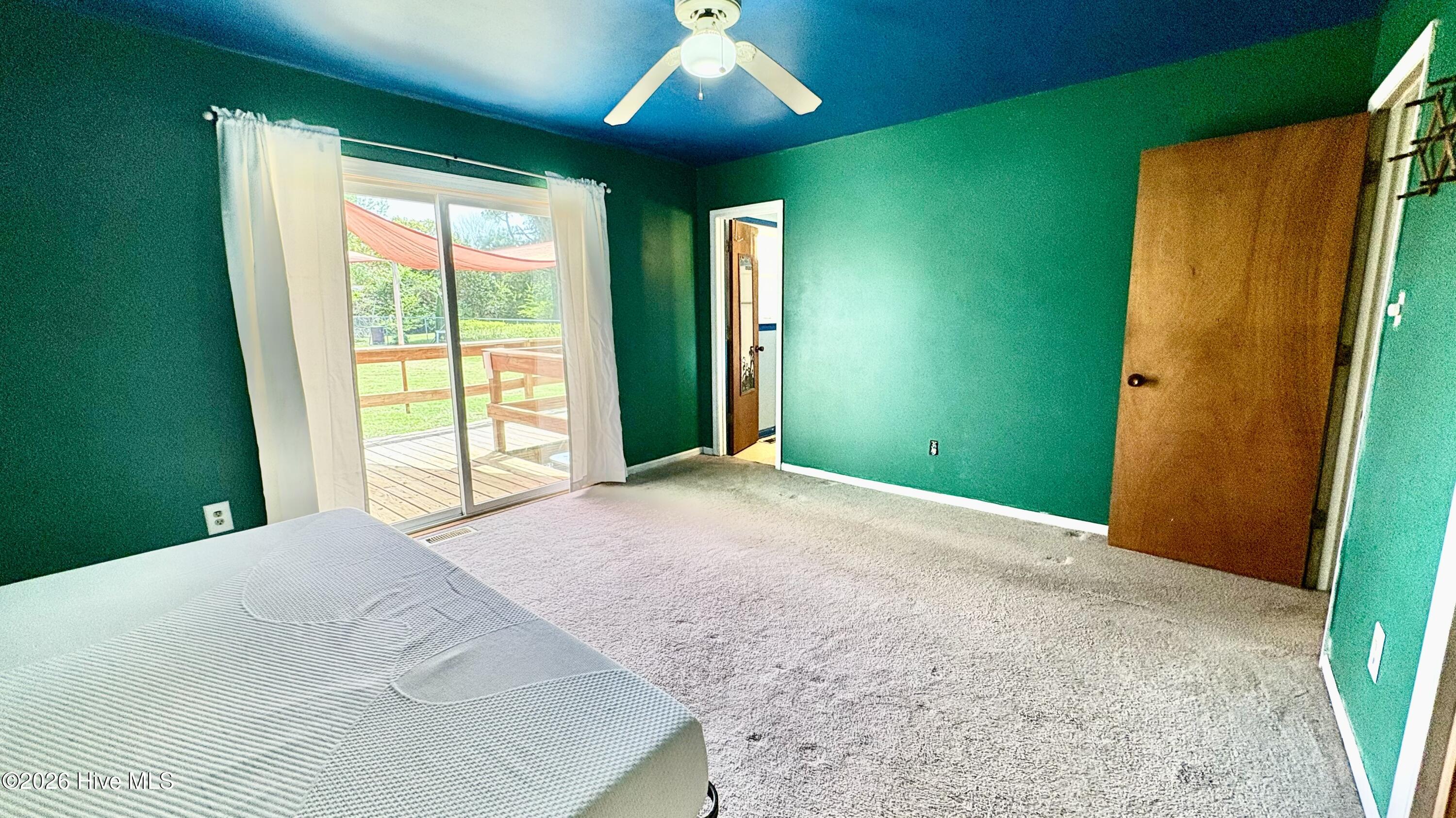 100562098 | Photo 11