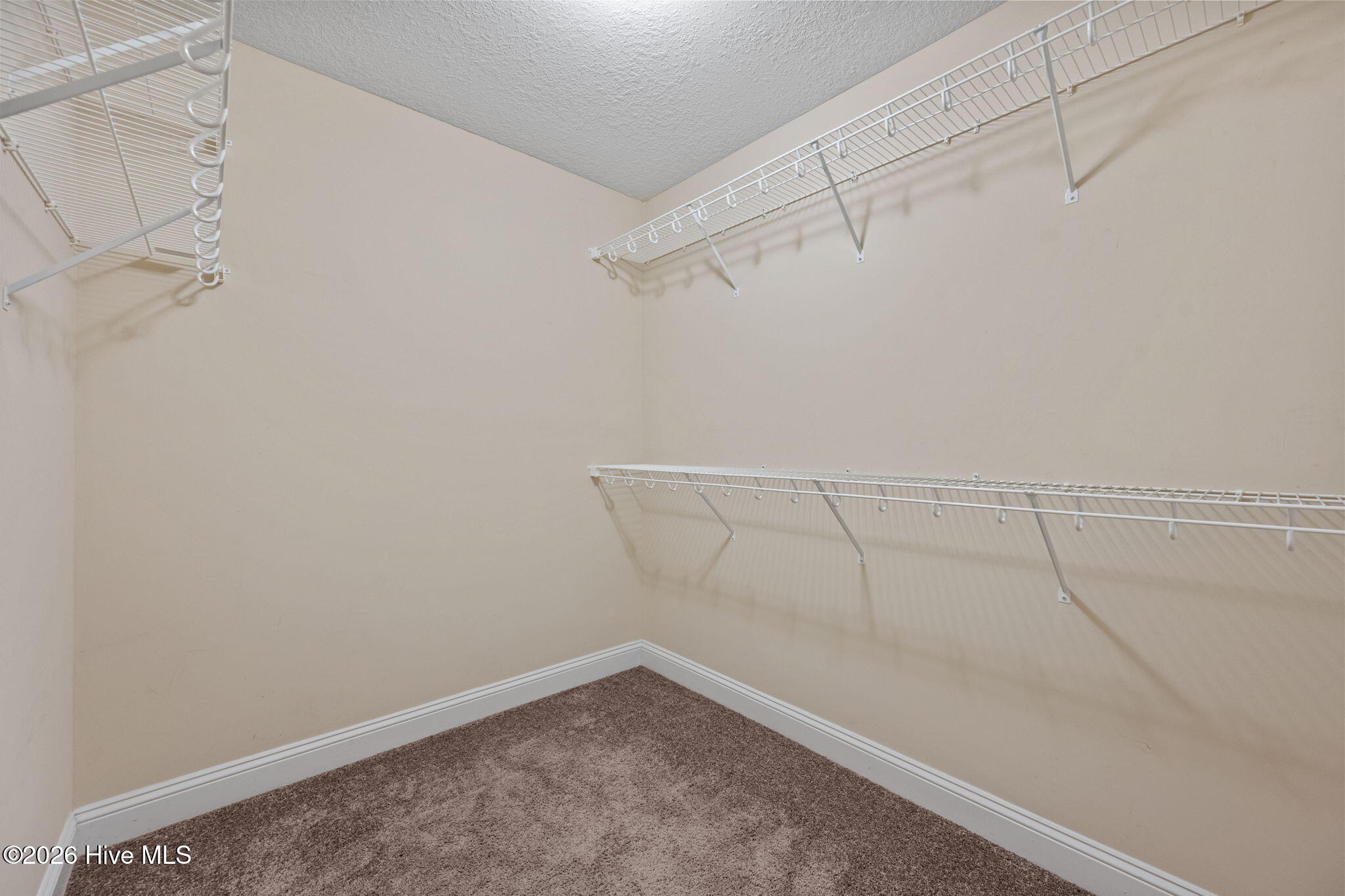 100564083 | Photo 15