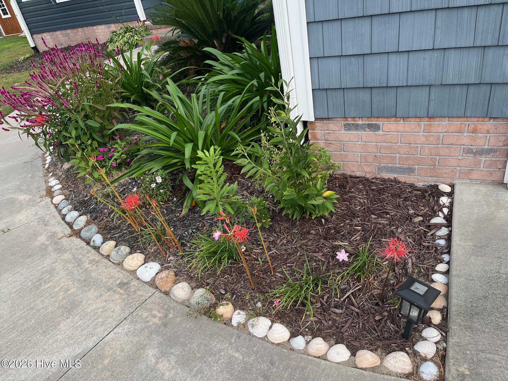 100557906 | Photo 33