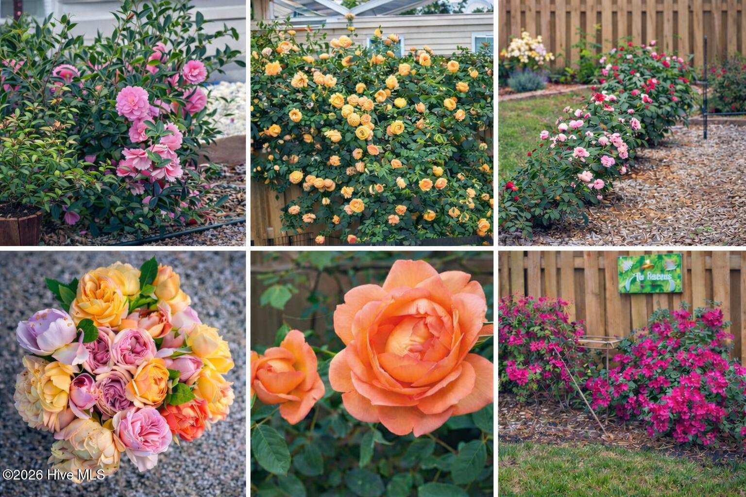 100551829 | Photo 60