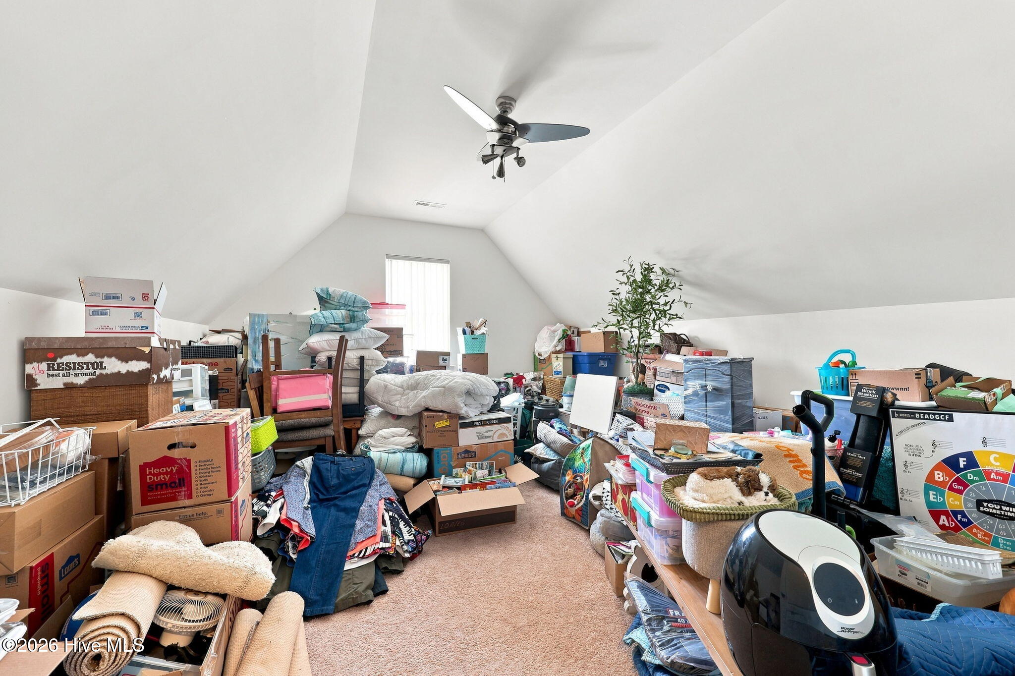 504 Casting Net Way,Swansboro