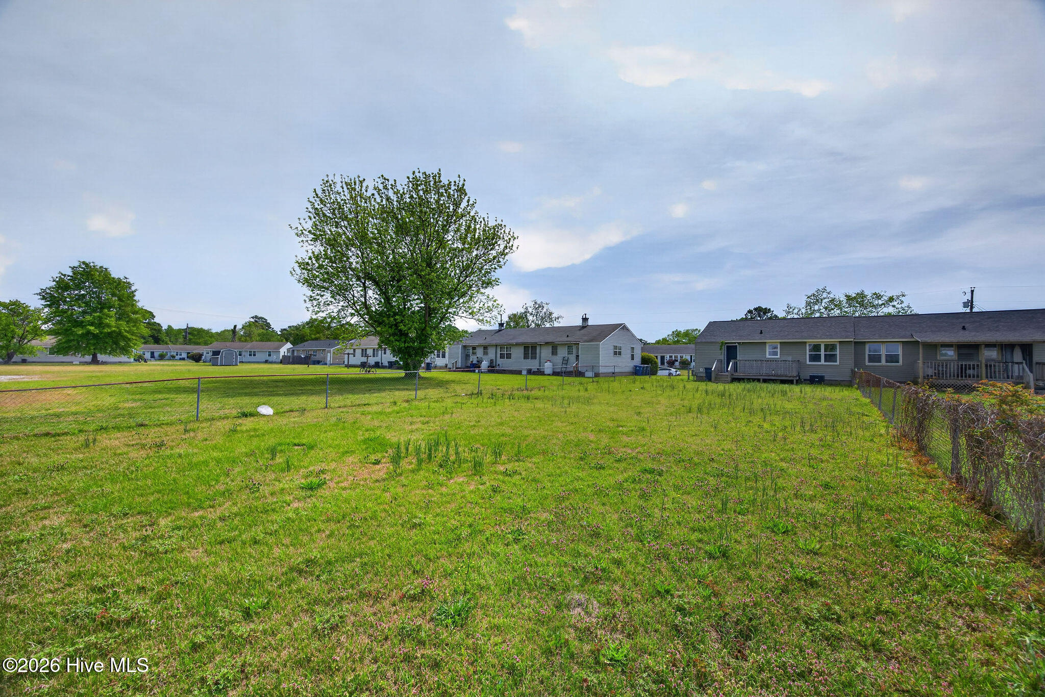 100567273 | Photo 20