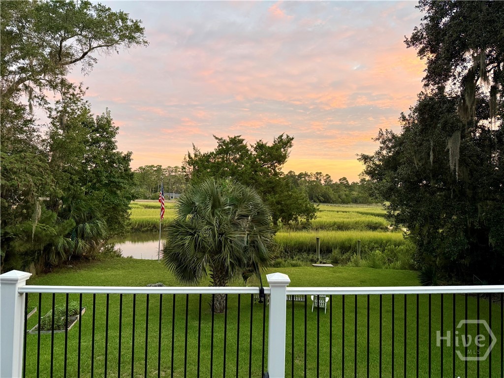 Back deck view