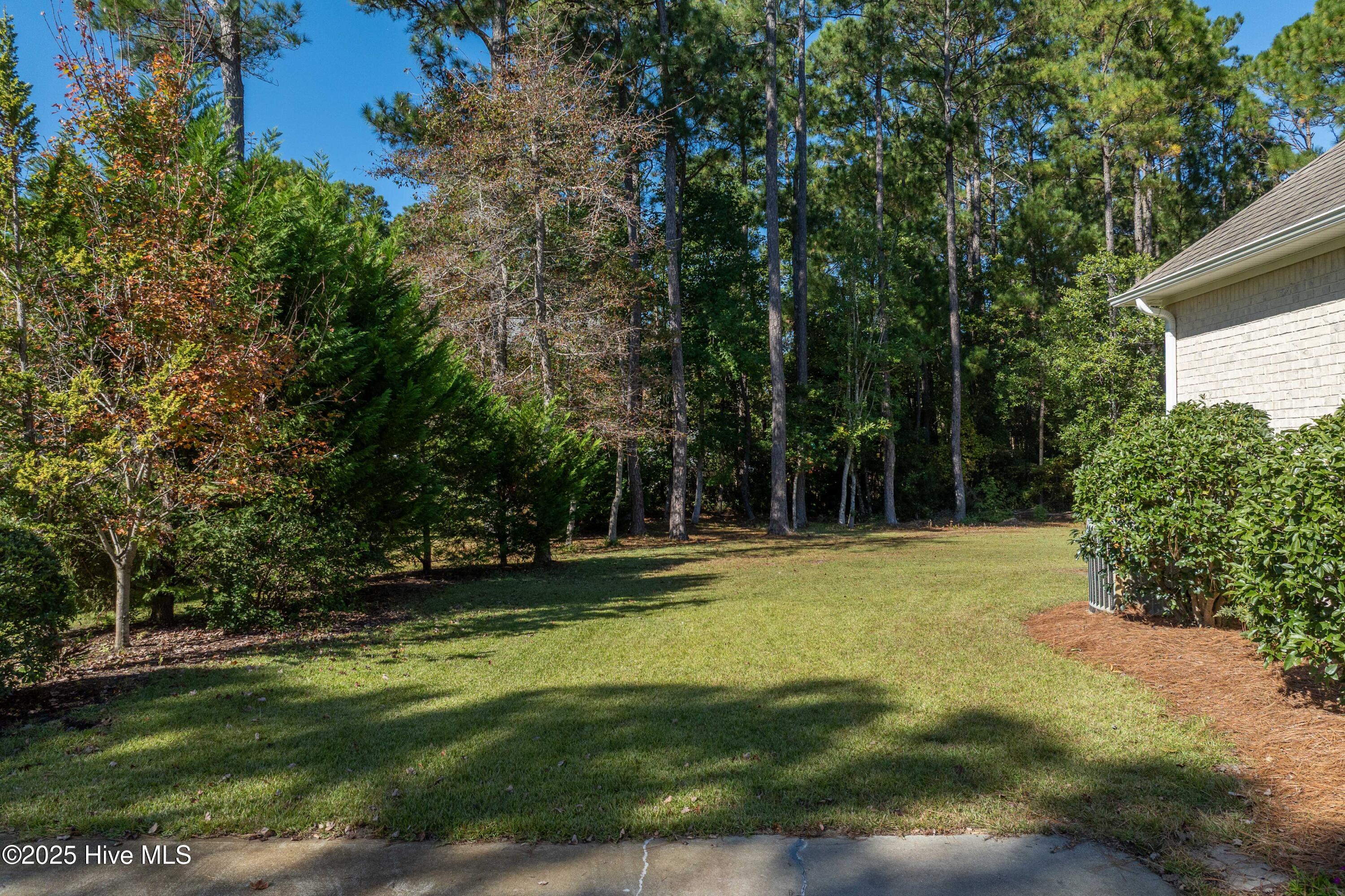 100537657 | Photo 29