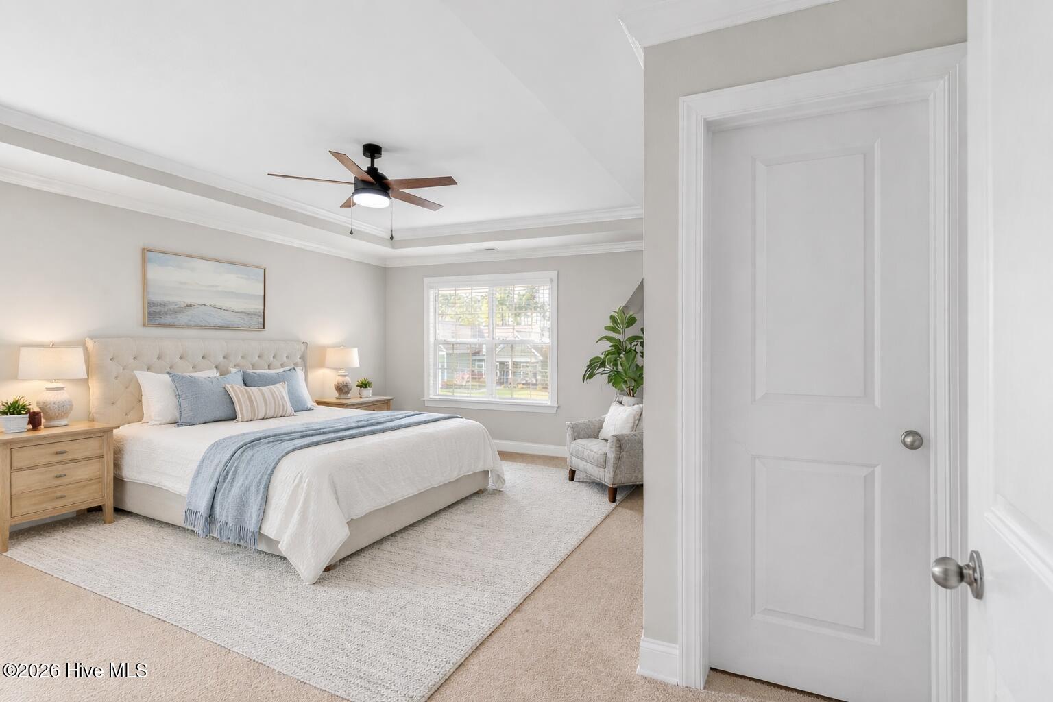 100566446 | Photo 42