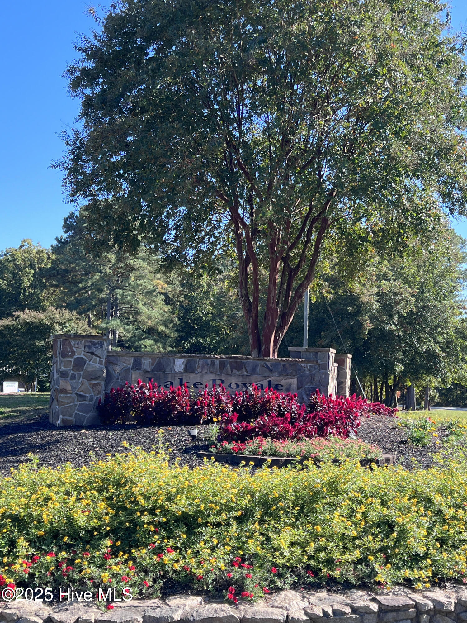 100507184 | Photo 2