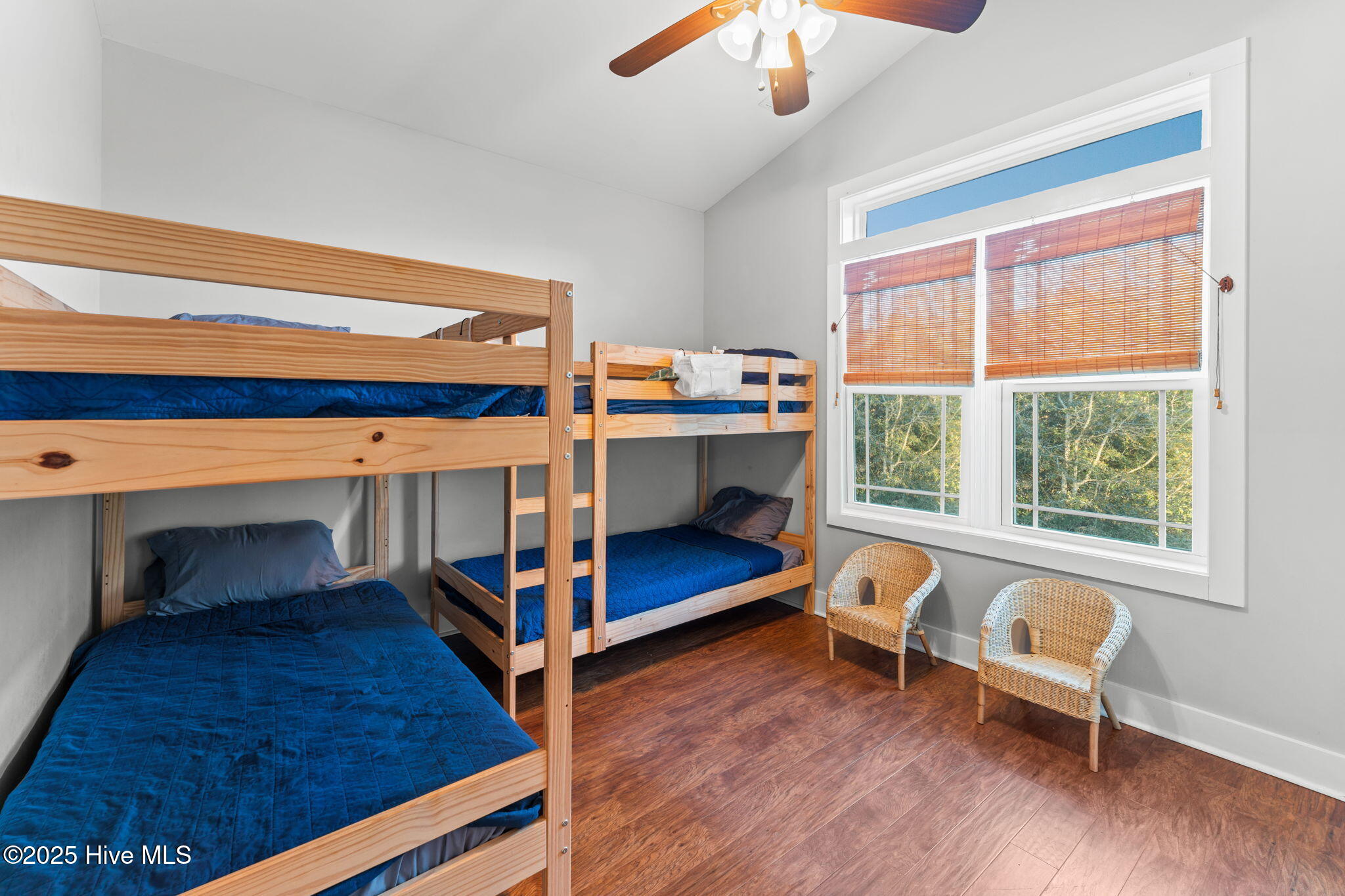 100545093 | Photo 23