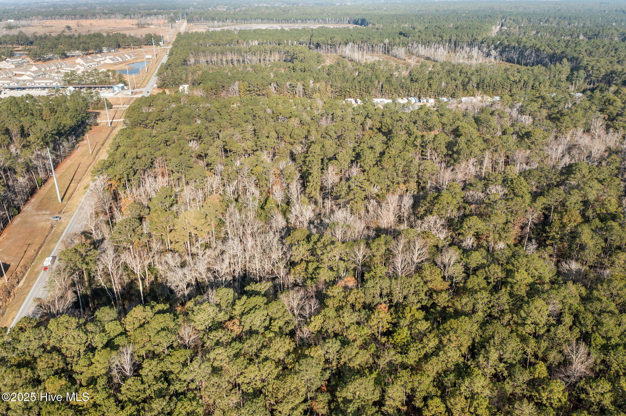 100545682 | Photo 20