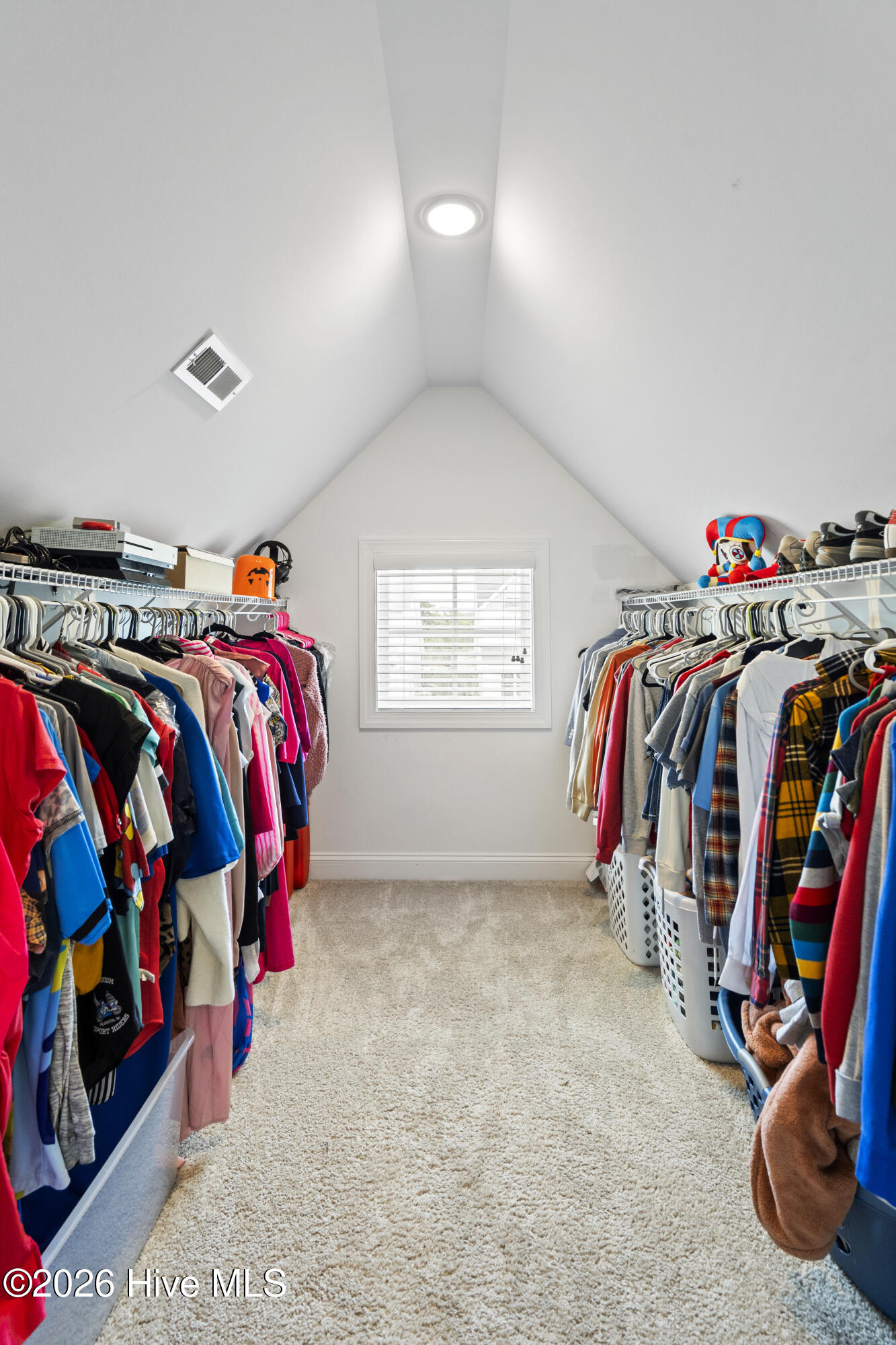 100554092 | Photo 28